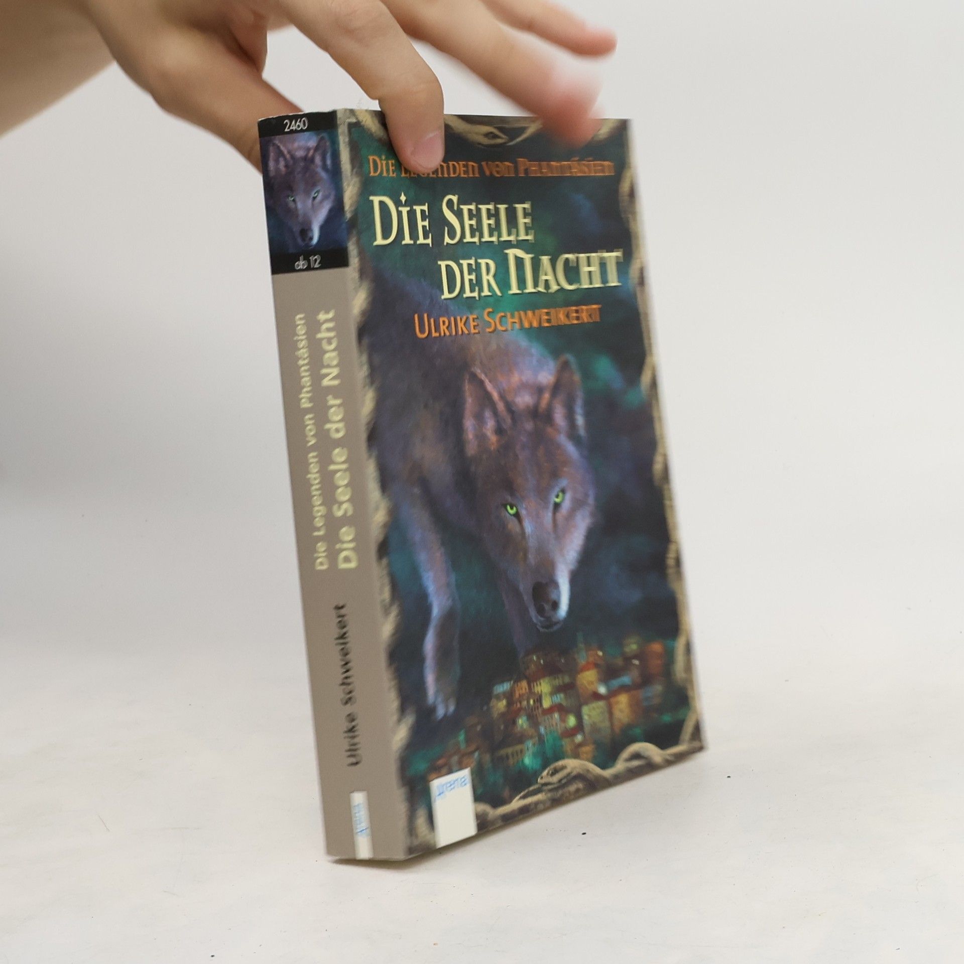 Ulrike Schweikert Die Seele der Nacht