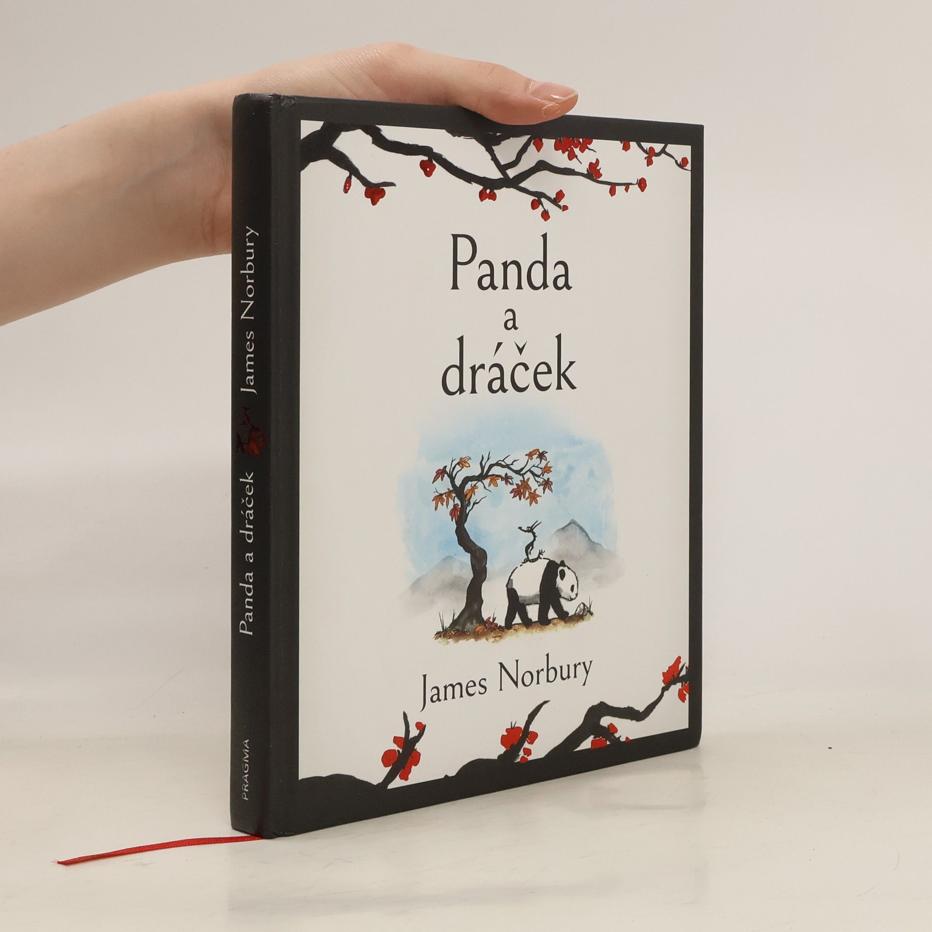 James Norbury Panda a dráček
