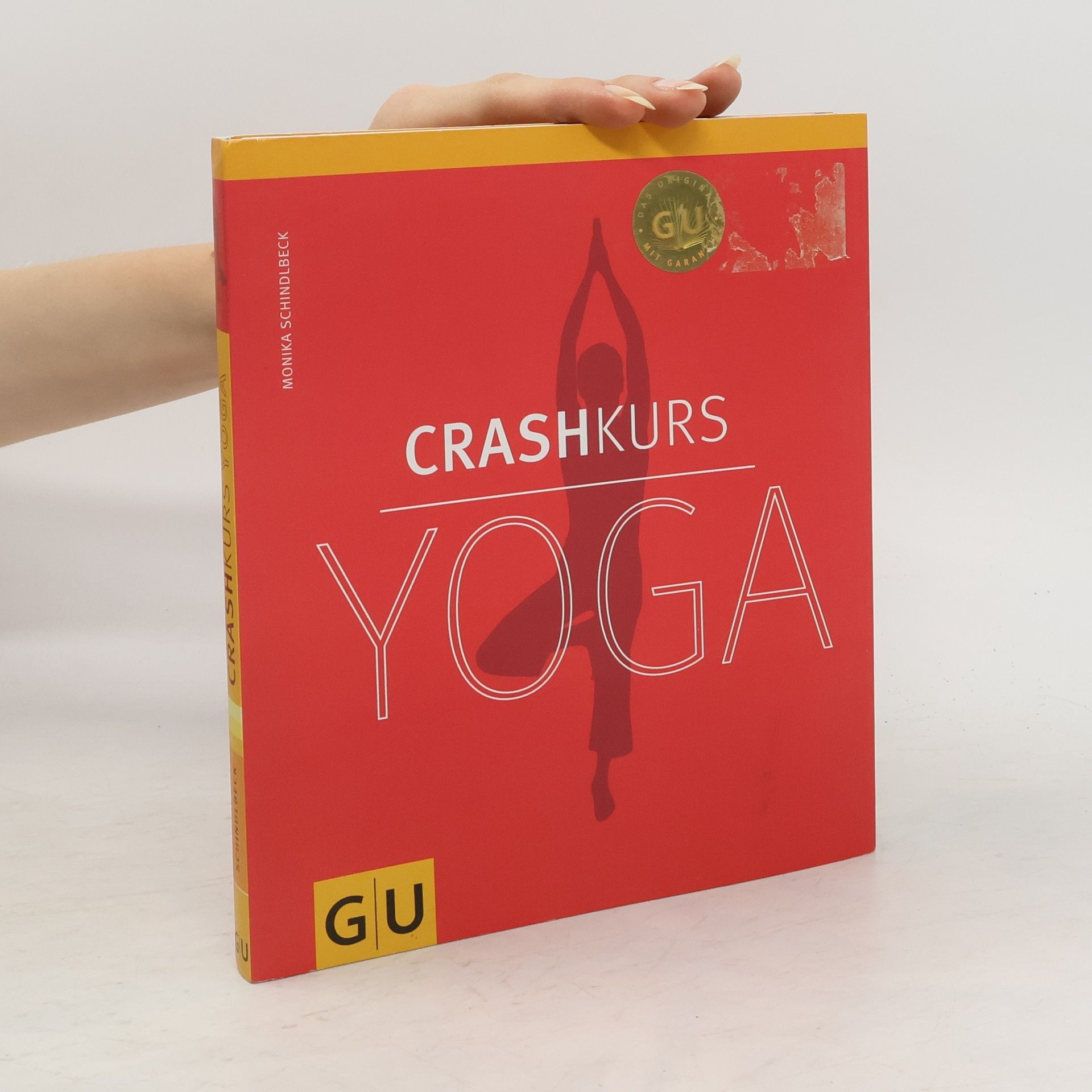 Monika Schindlbeck Crashkurs Yoga