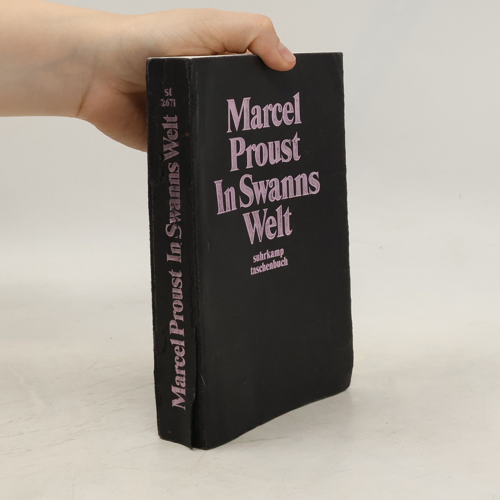 Marcel Proust In Swanns Welt