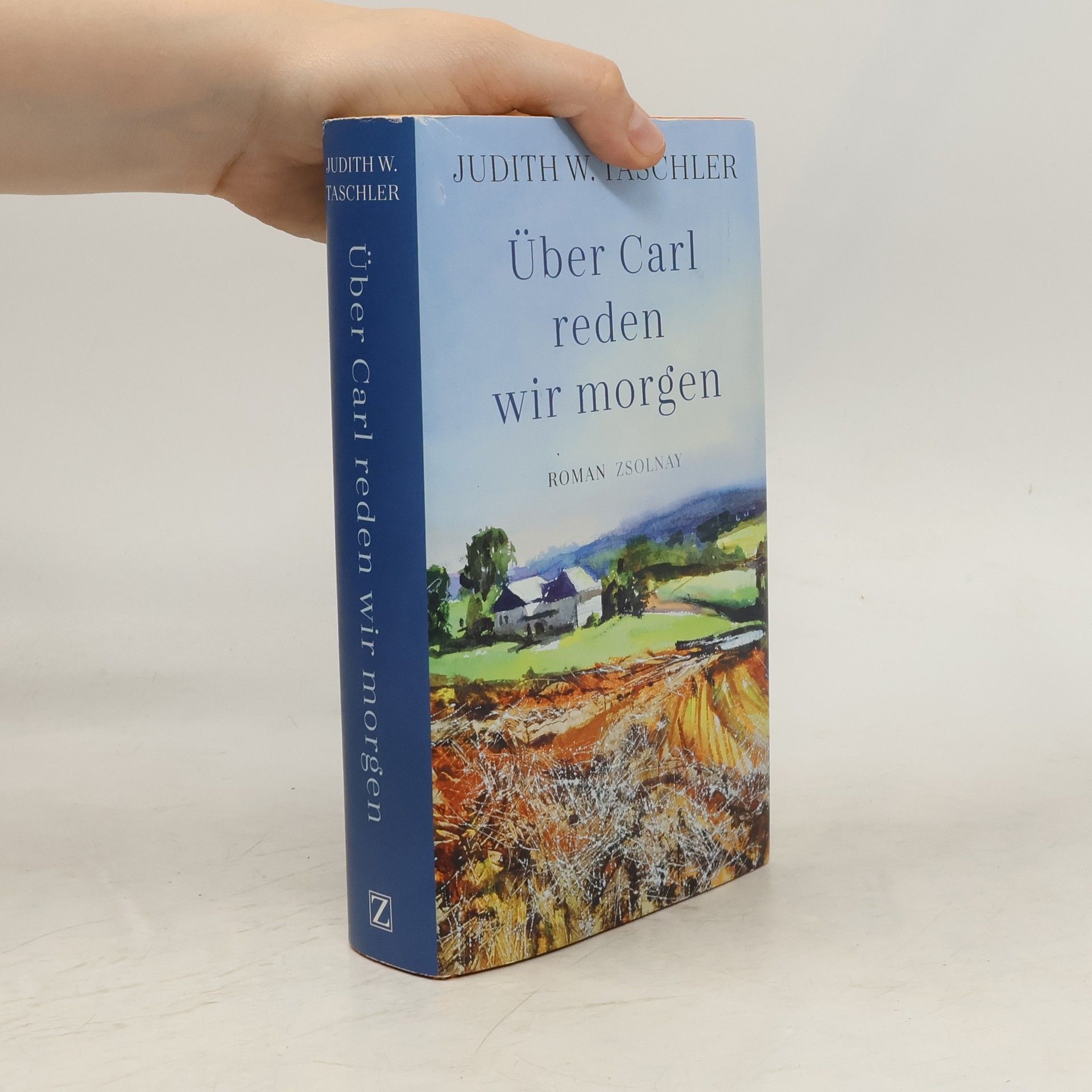 Judith W Taschler Über Carl reden wir morgen