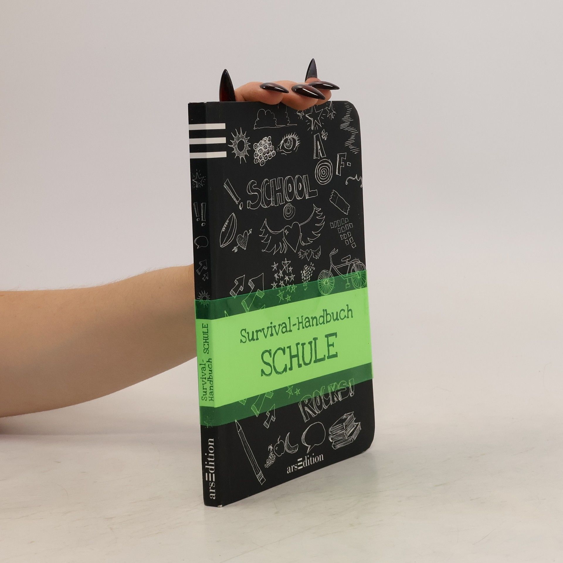 Anita van Saan Survival-Handbuch Schule