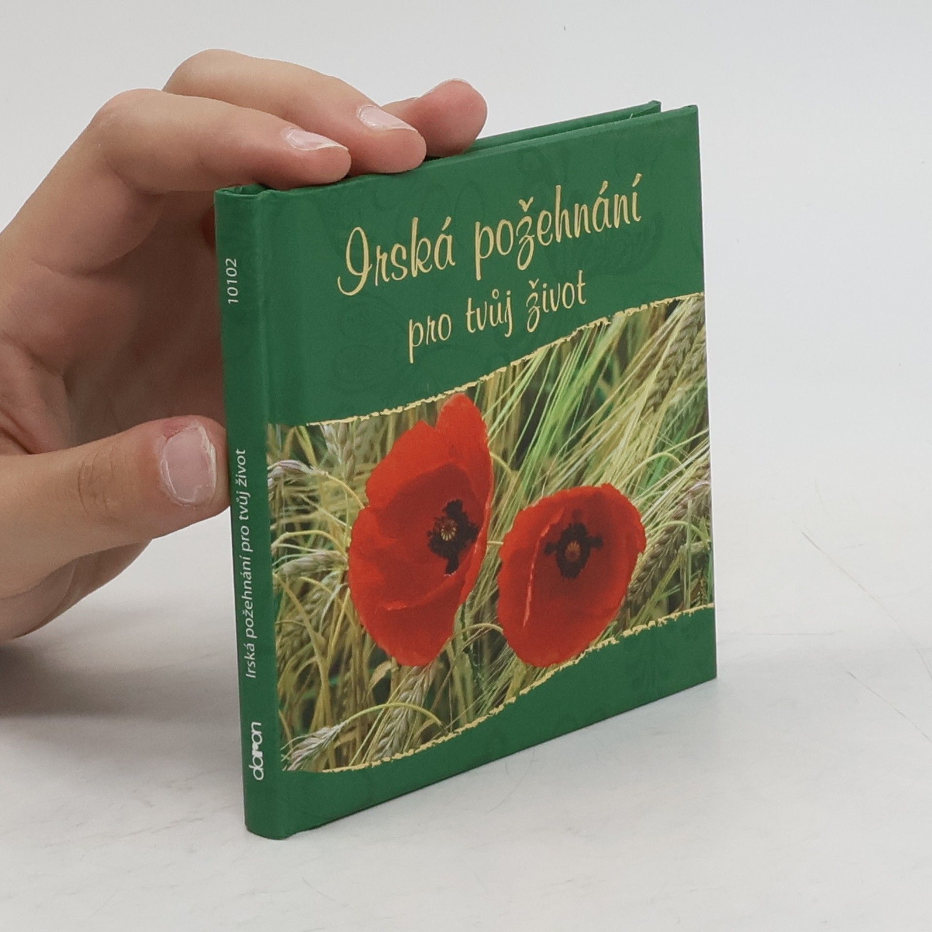 Autores varios Irská požehnání pro tvůj život