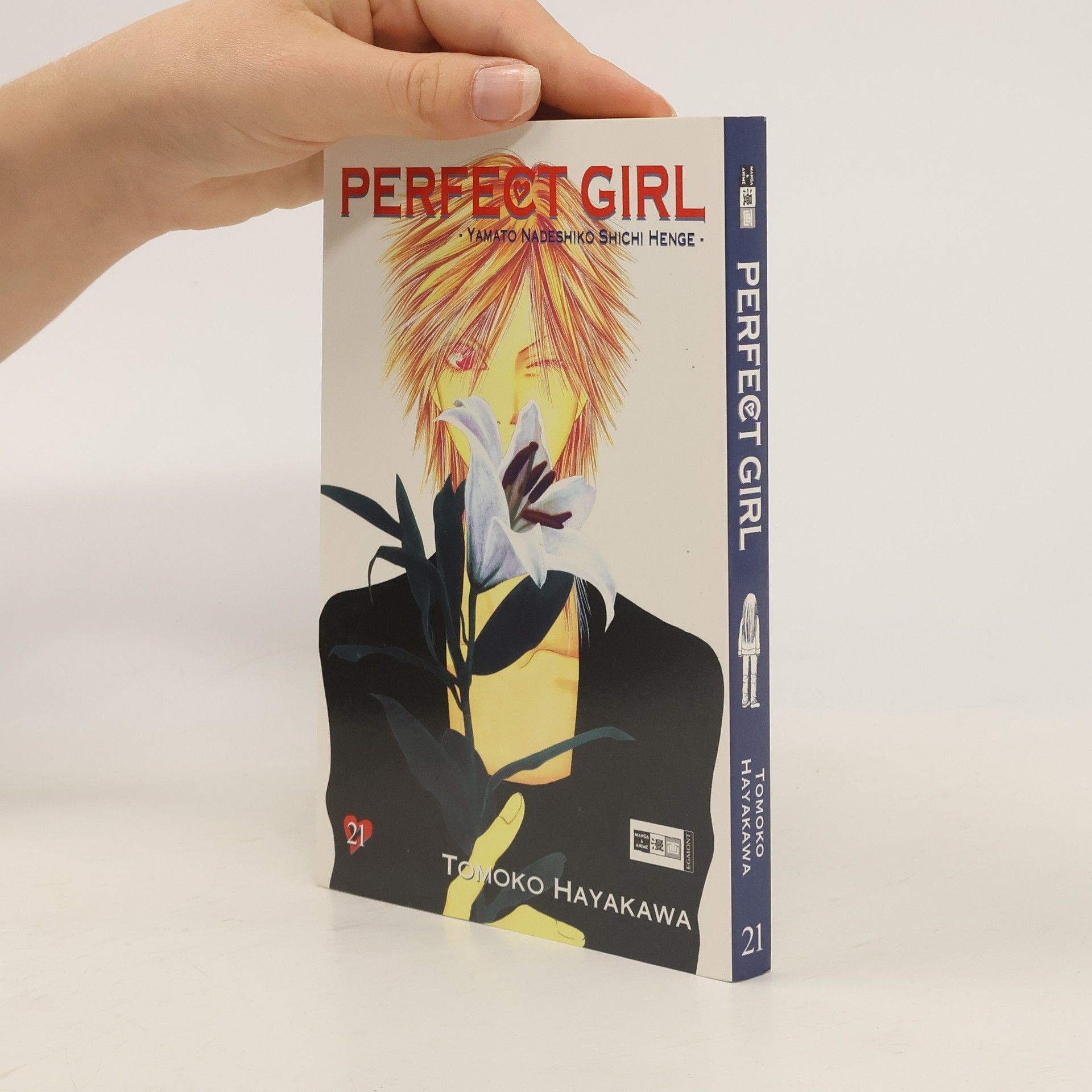 Tomoko Hayakawa Perfect Girl 21
