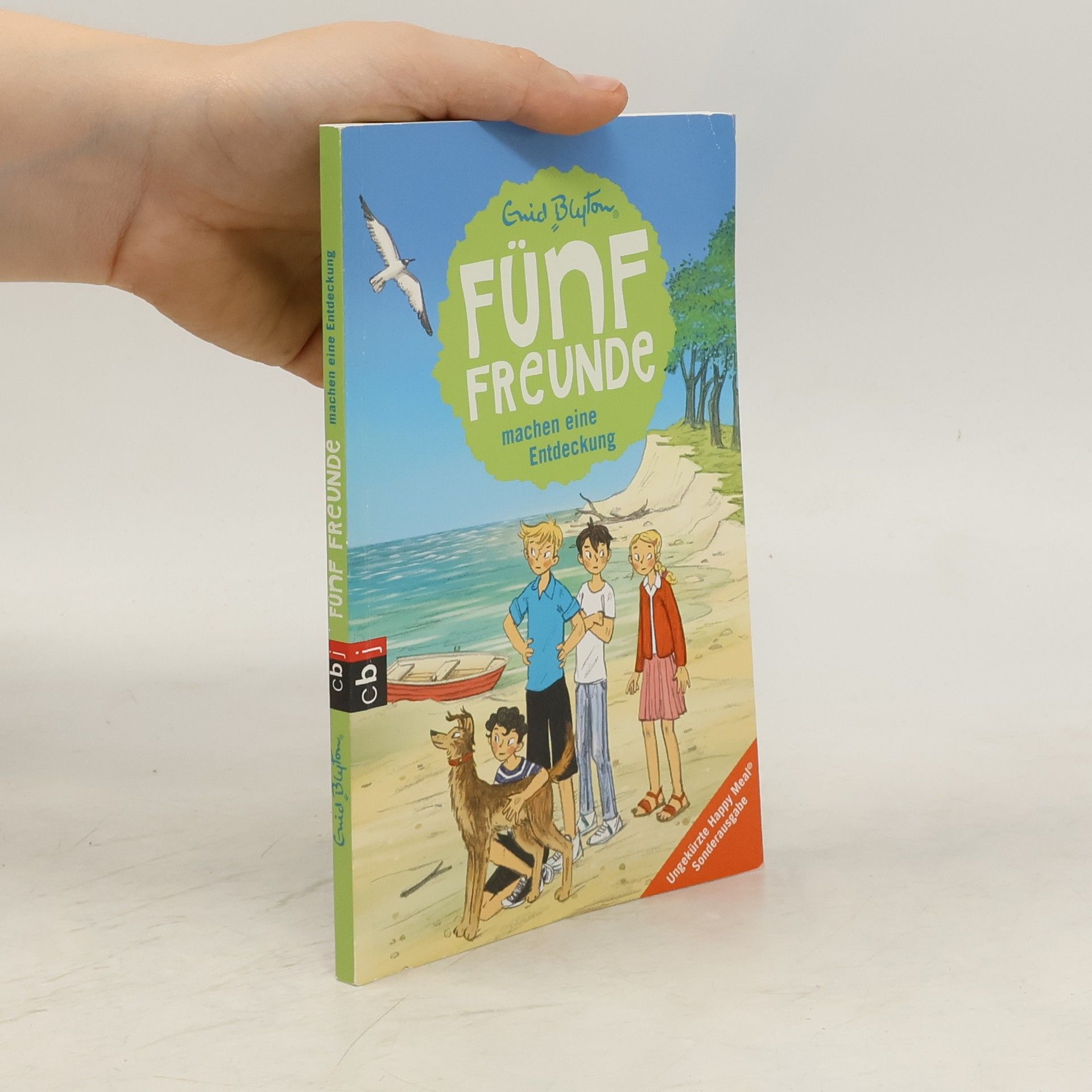 Enid Blyton Fünf Freunde machen eine Entdeckung