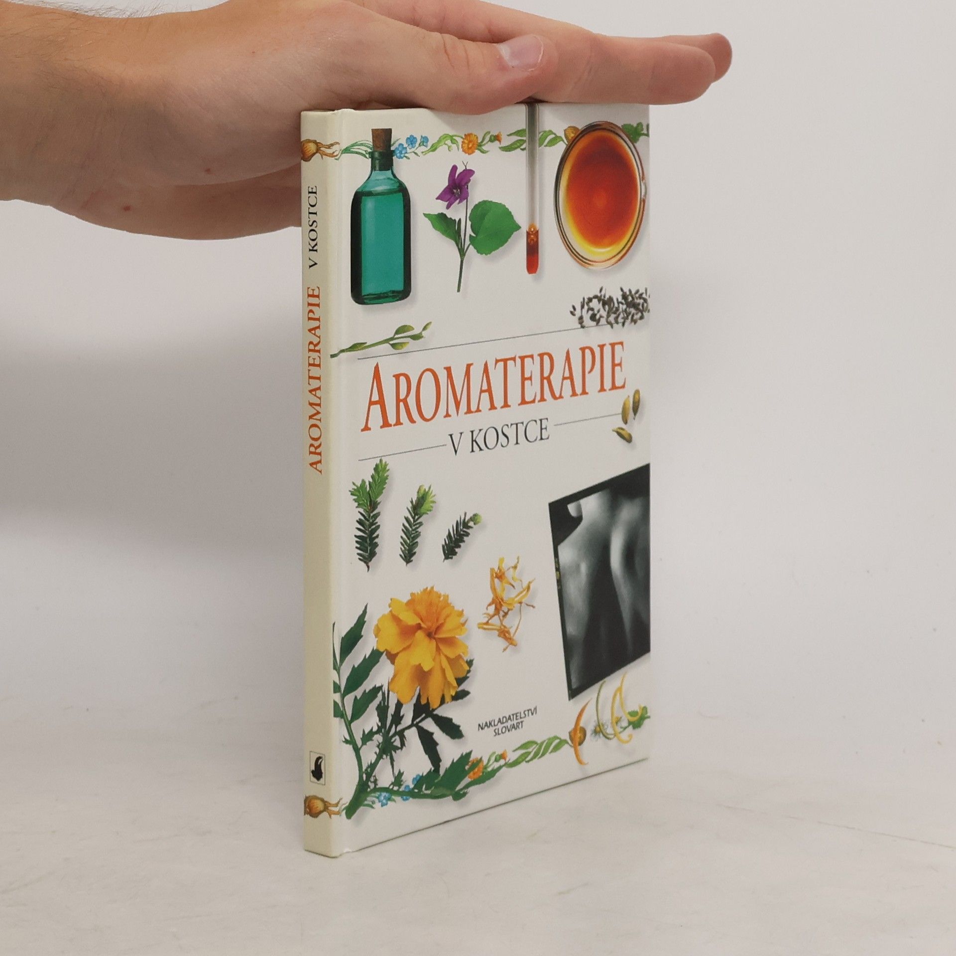Sheila Lavery Aromaterapie v kostce