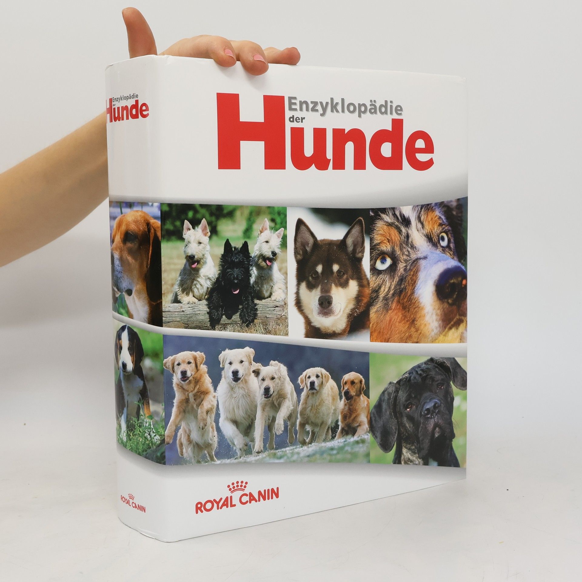 kolektiv Enzyklopädie der Hunde