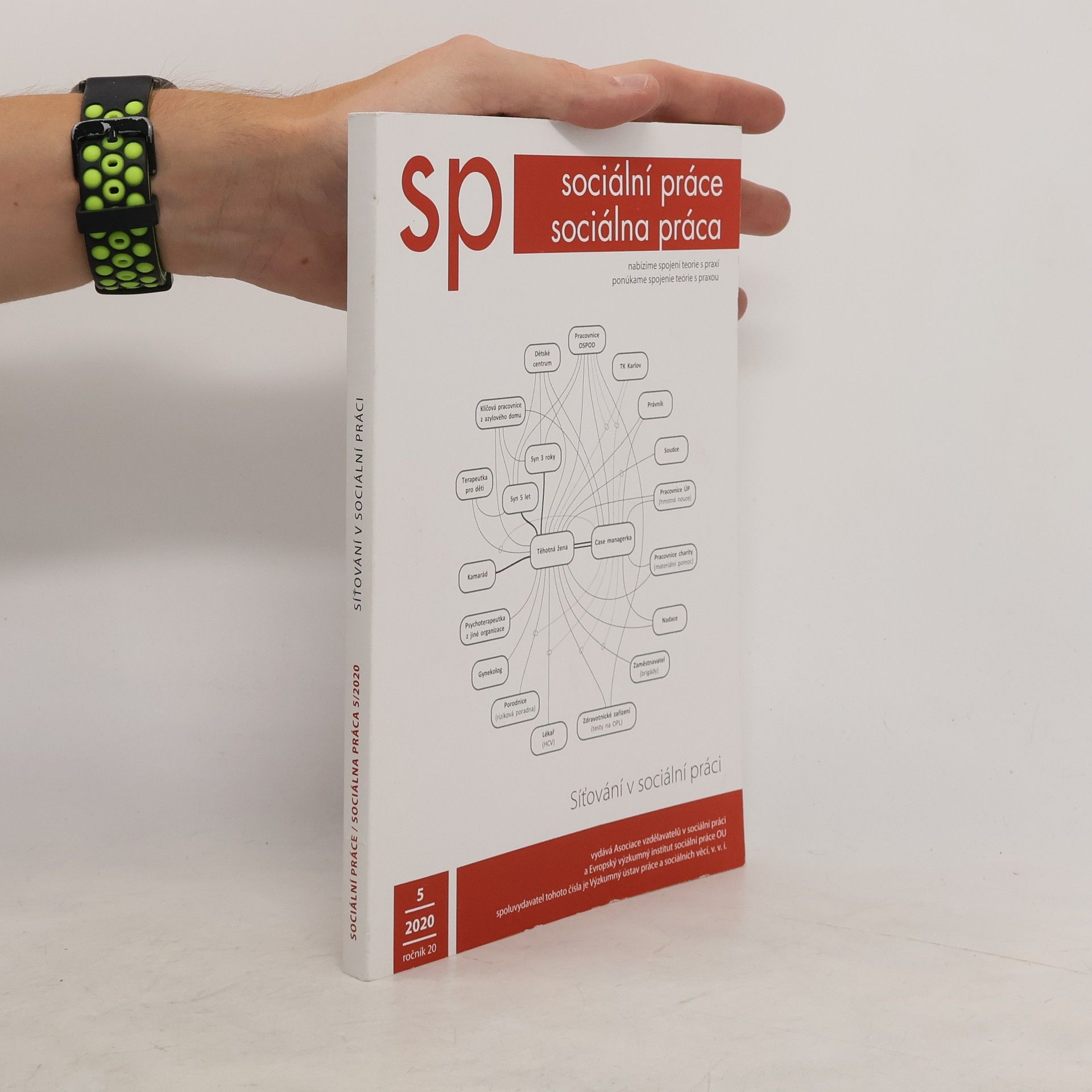 Collectif d'auteurs Sp. Sociální práce 5. Síťování v sociální práci