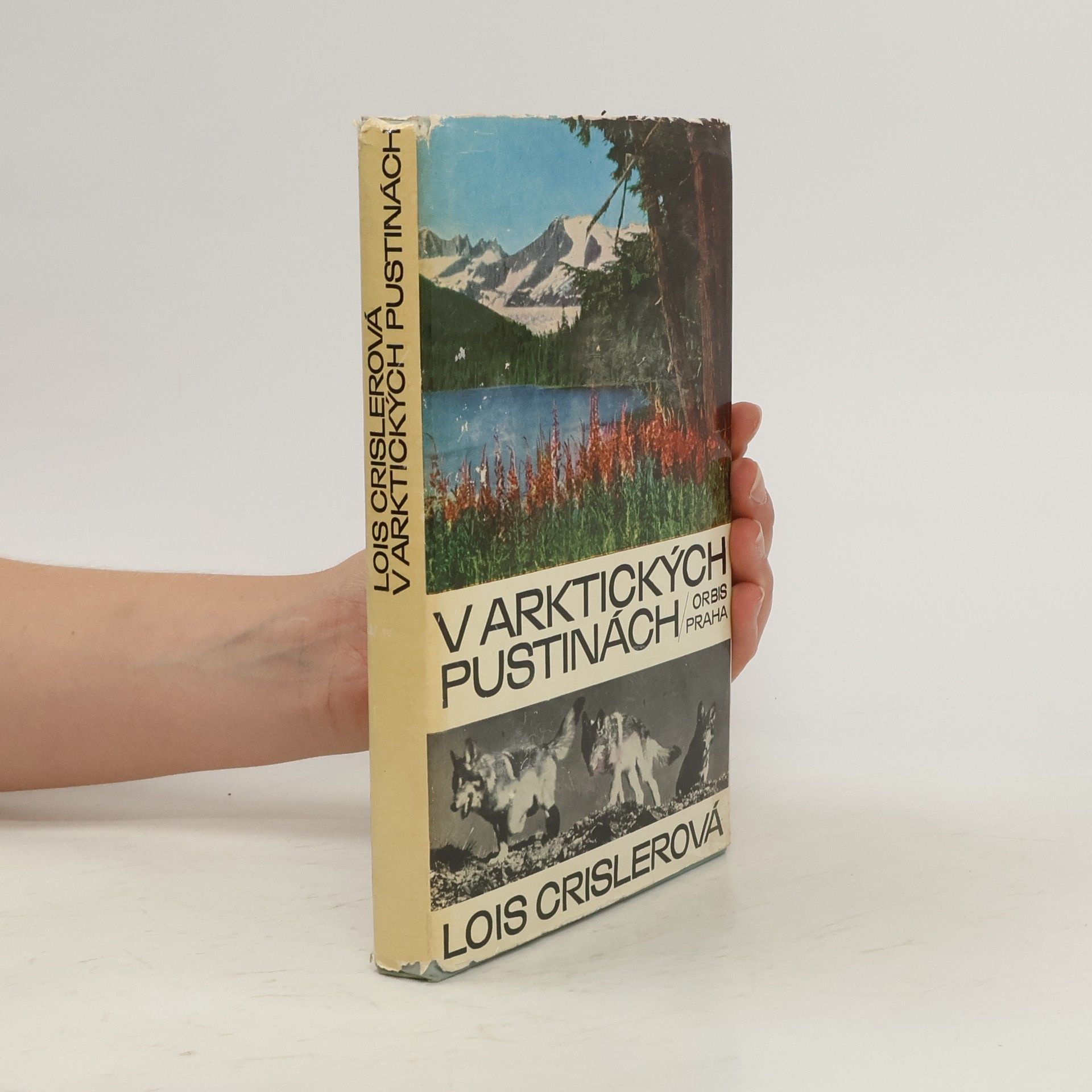 V Arktických pustinách