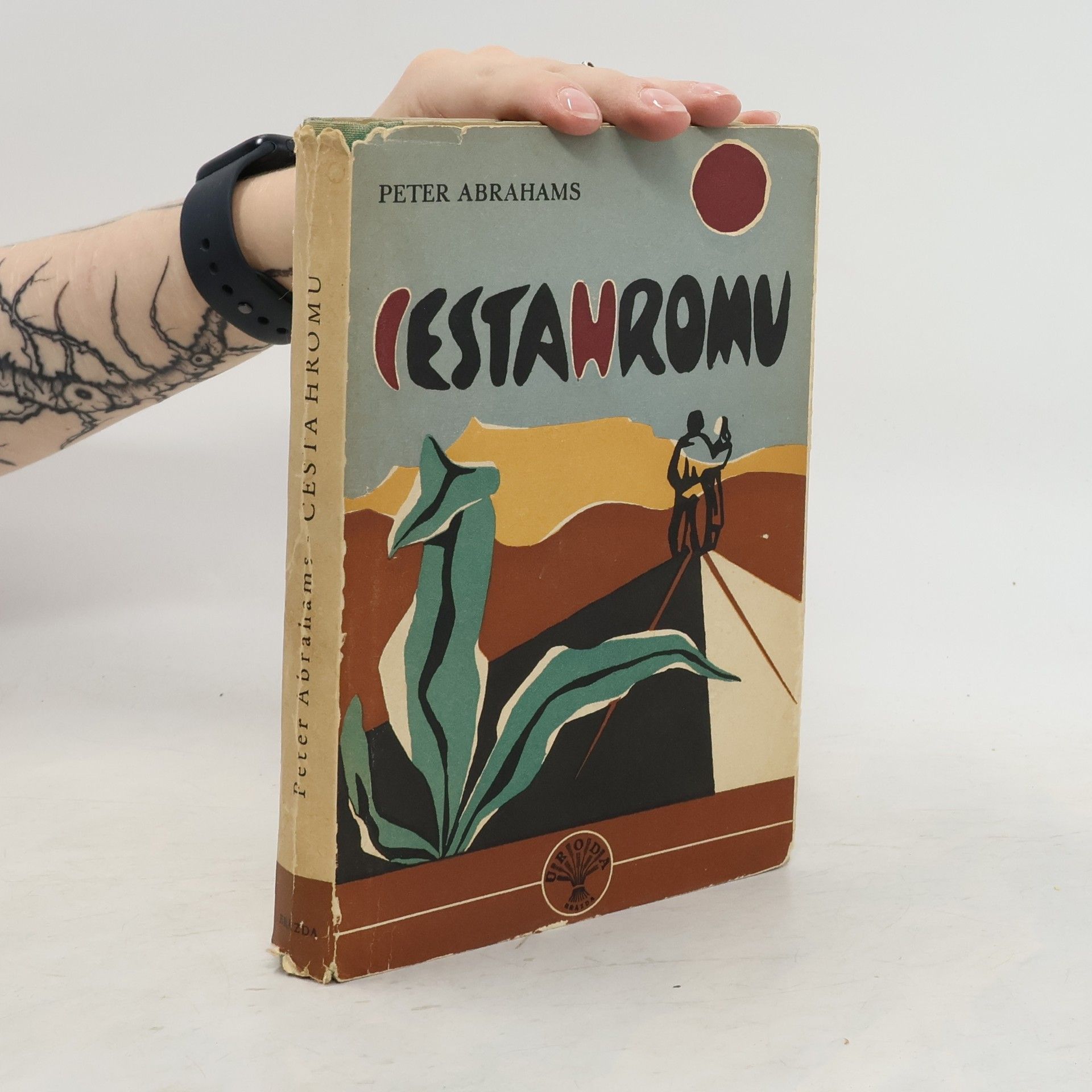 Peter Abrahams Cesta hromu
