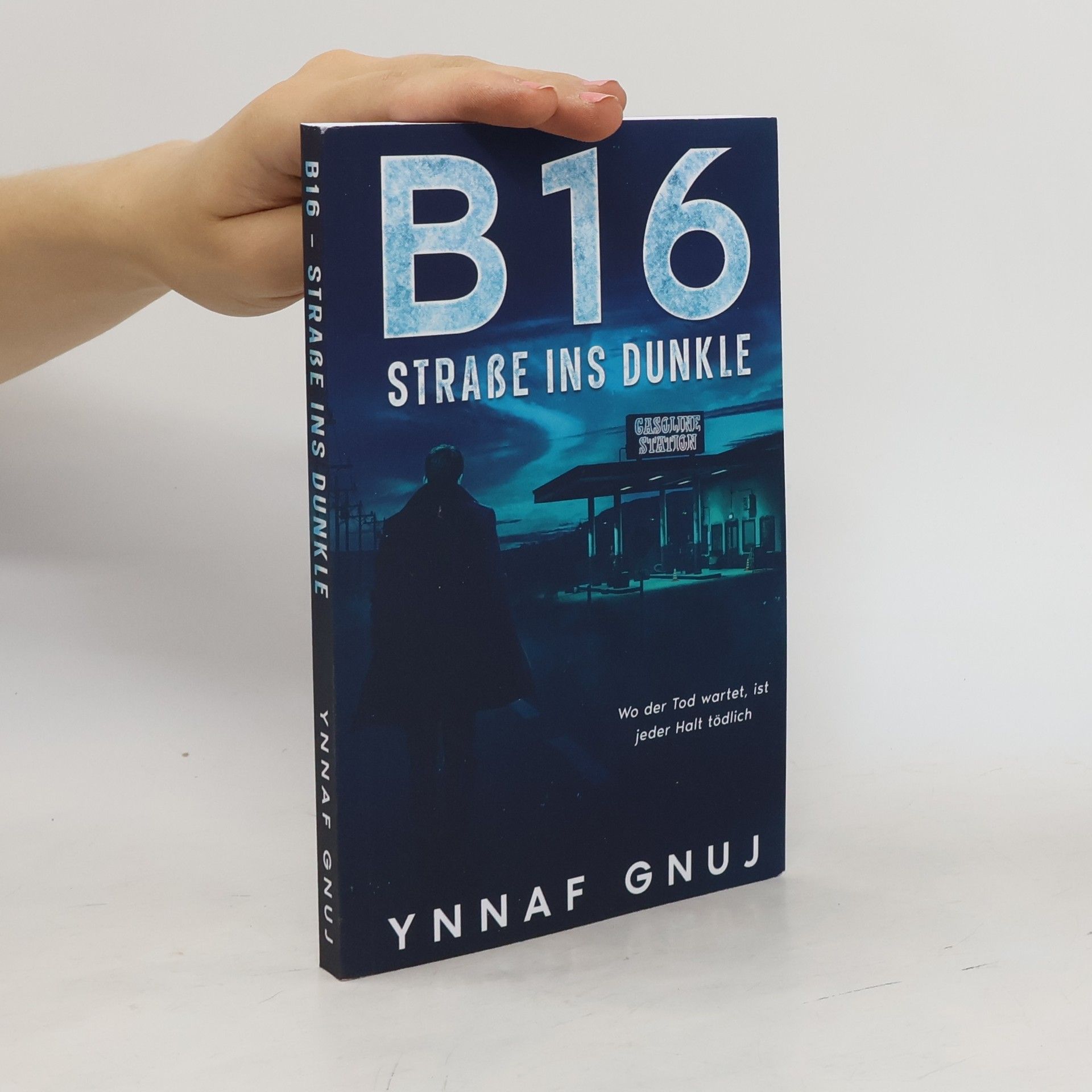 Ynnaf Gnuj B16 - Straße ins Dunkel