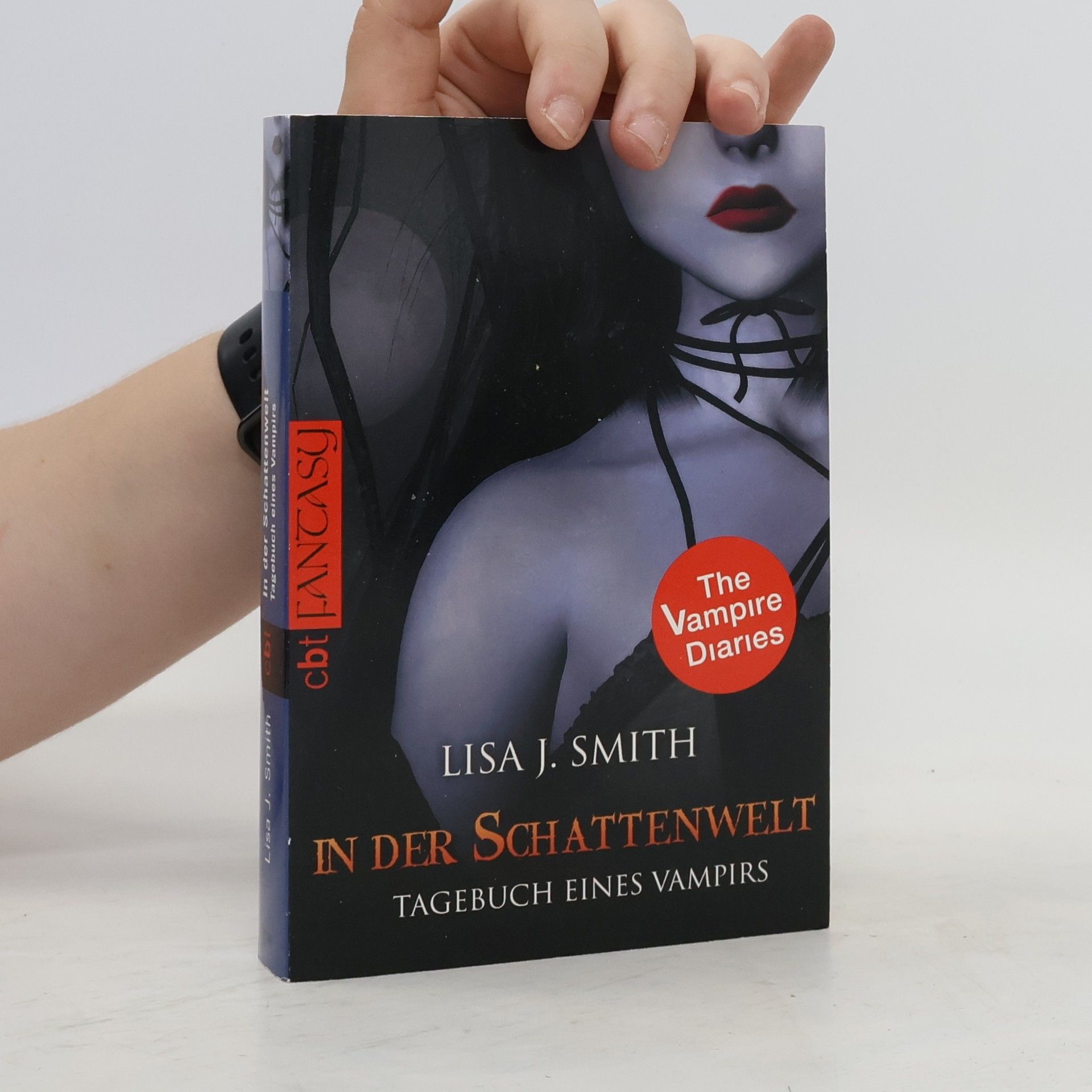 Lisa J. Smith Tagebuch eines Vampirs 4