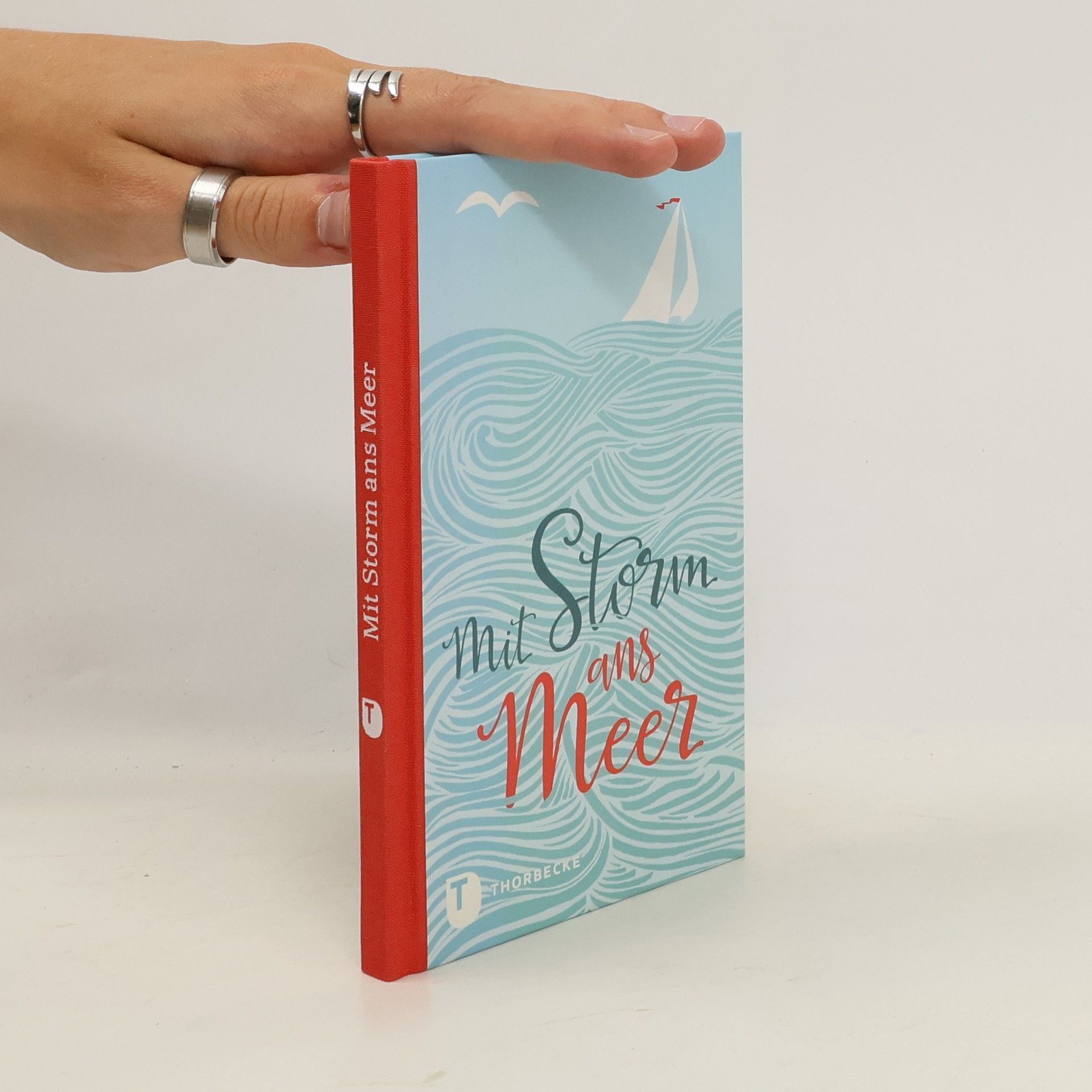 Theodor Storm Mit Storm ans Meer
