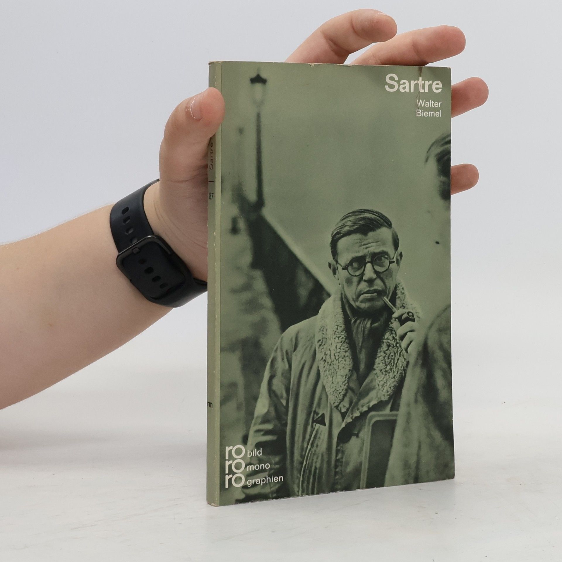 Walter Biemel Sartre