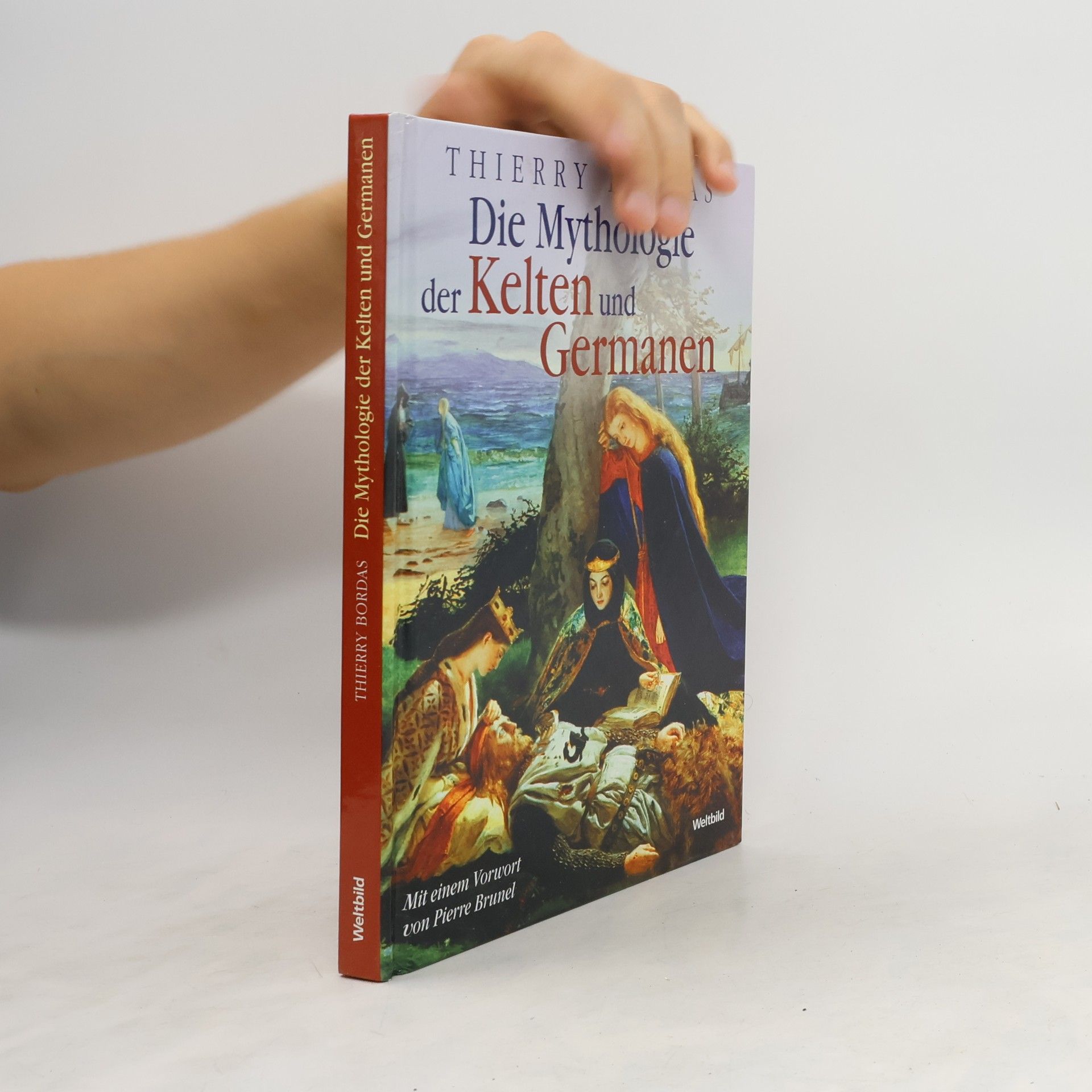 Thierry Bordas Die Mythologie Der Kelten und Germanen