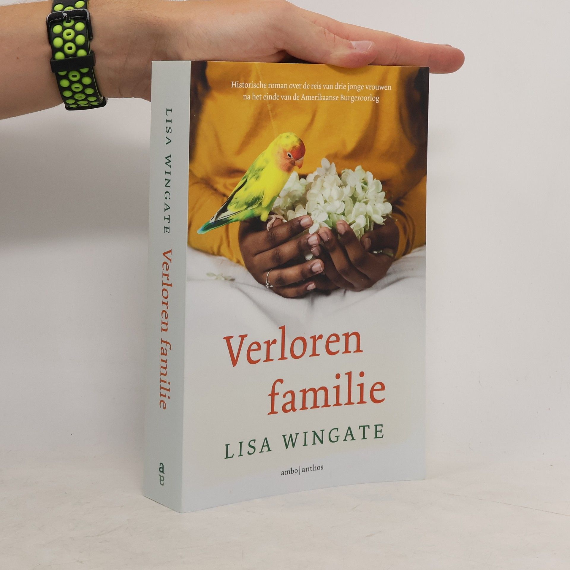 Lisa Wingate Verloren familie