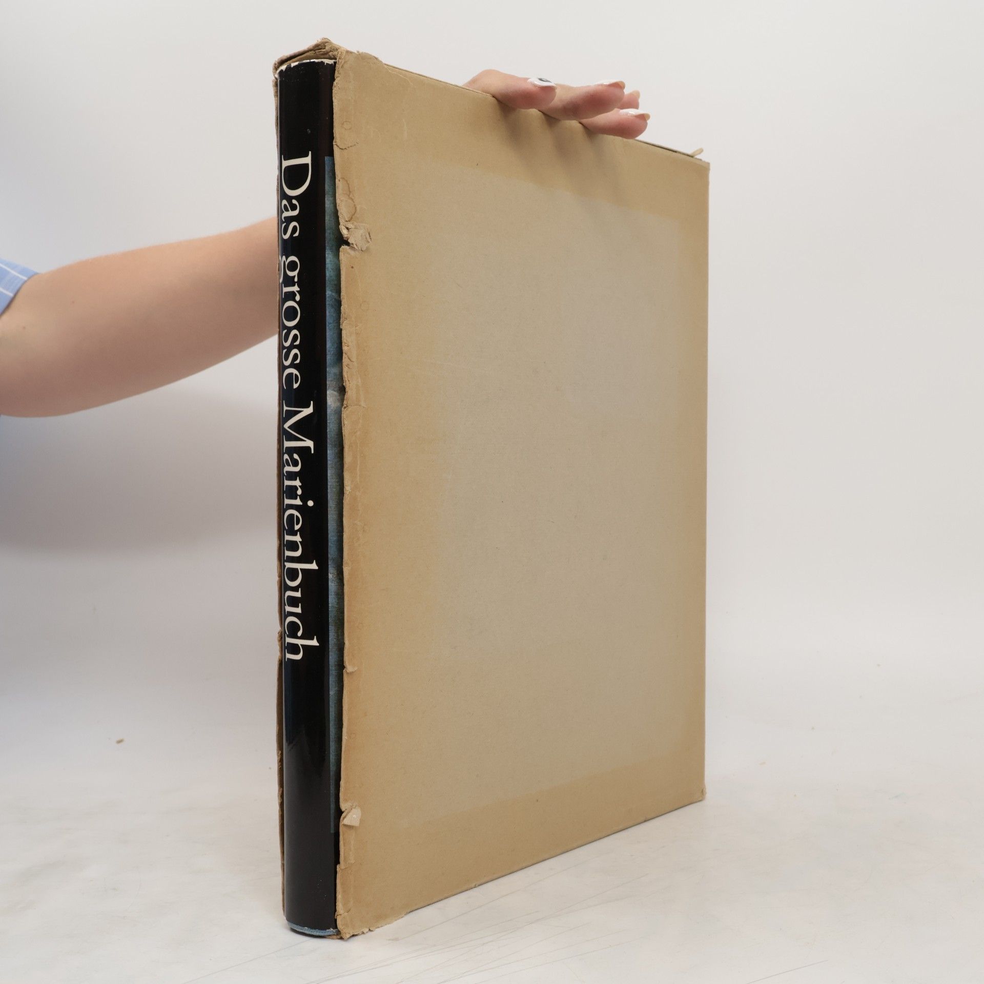 Hugo Lang Das grosse Marienbuch