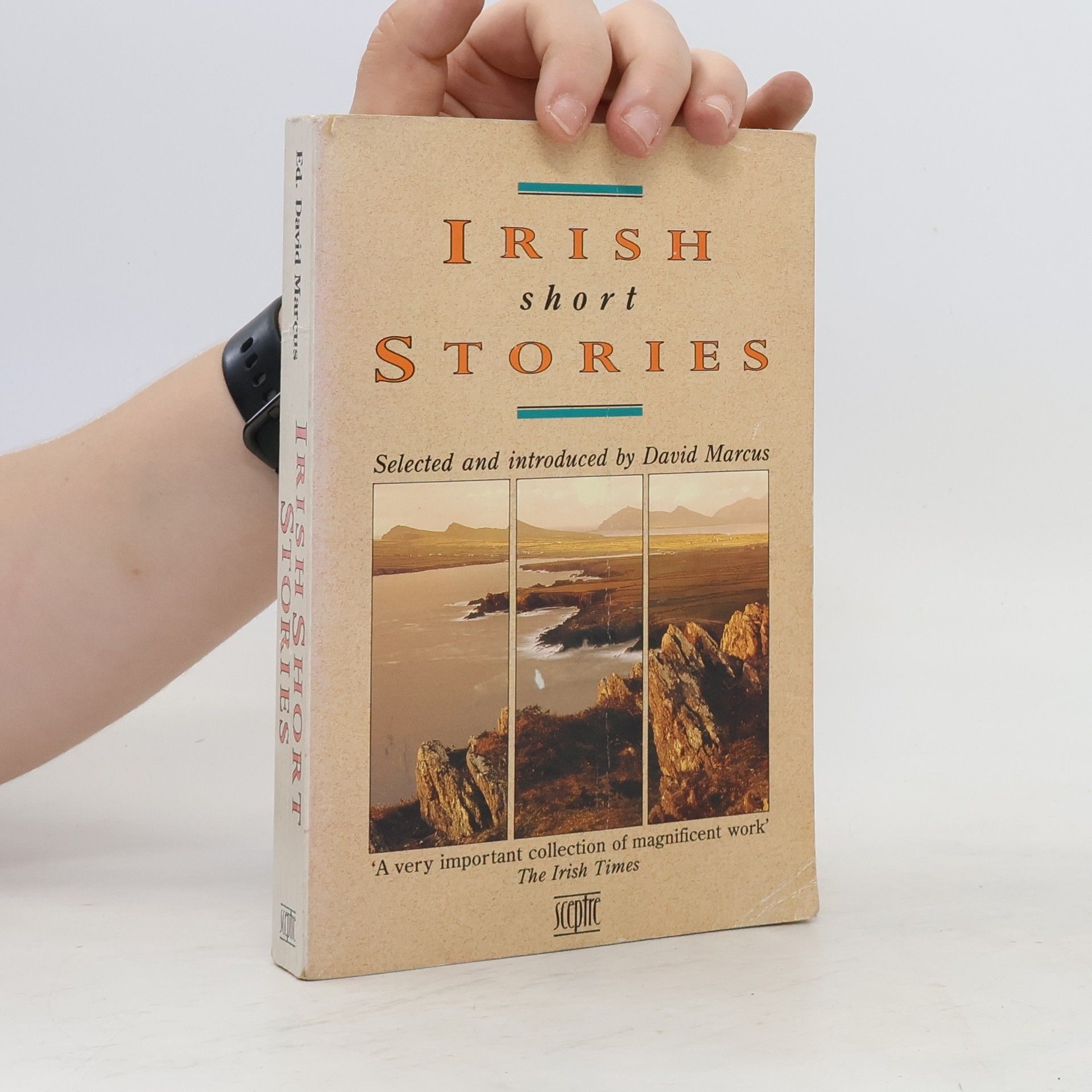 David Marcus Irish Short Stories