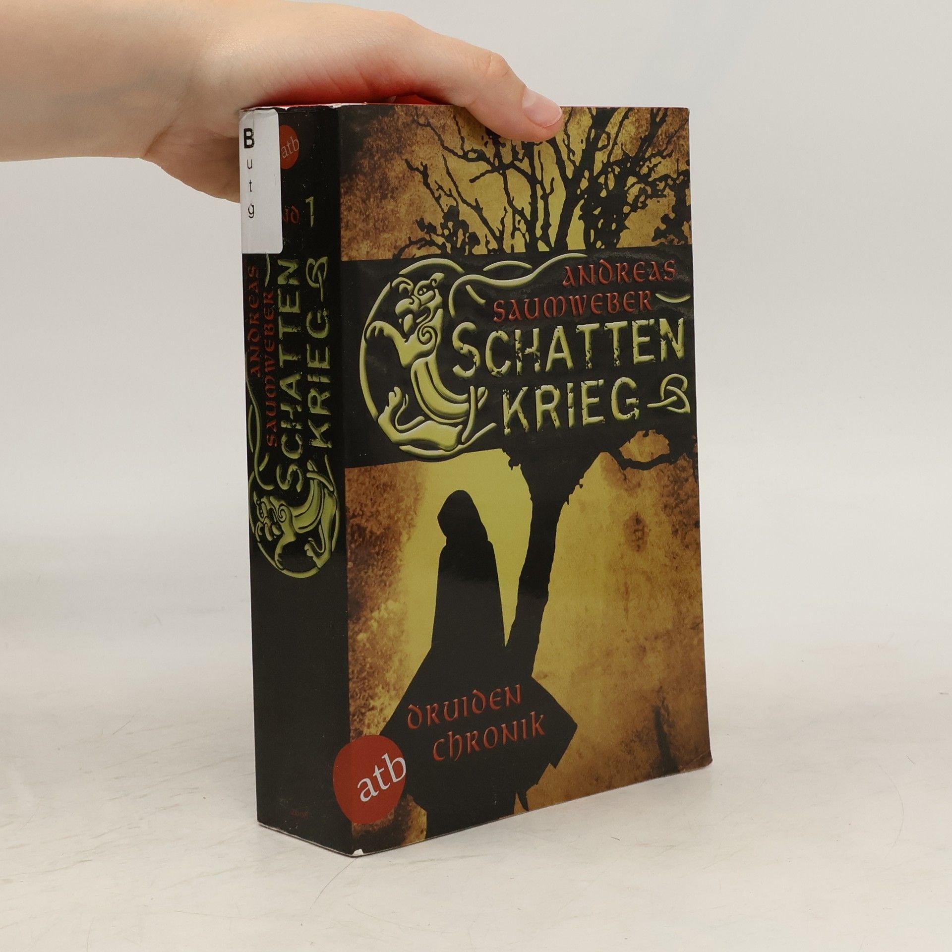 Andreas Saumweber Druidenchronik Band 1: Schatten krieg