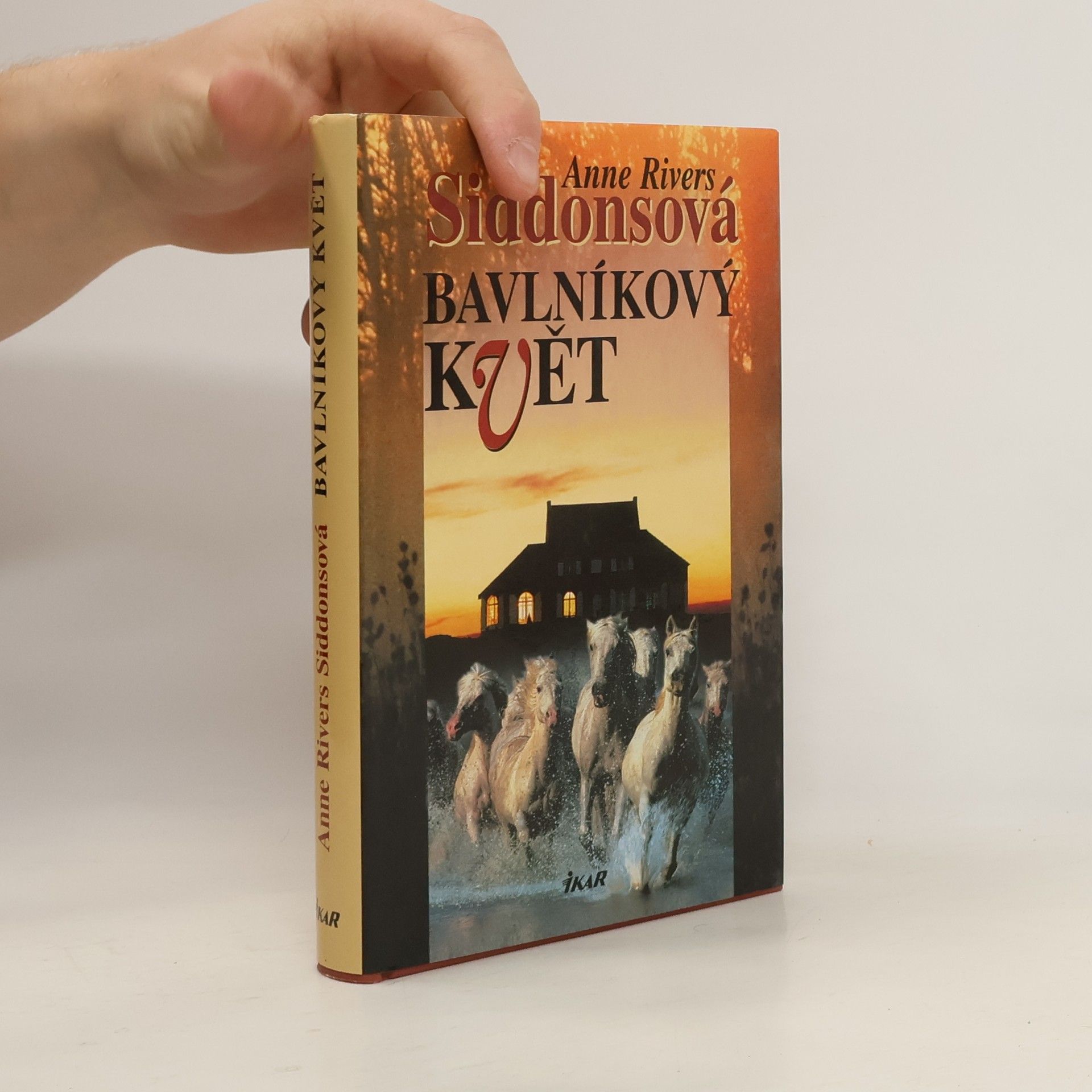 Anne Rivers Siddons Bavlníkový květ