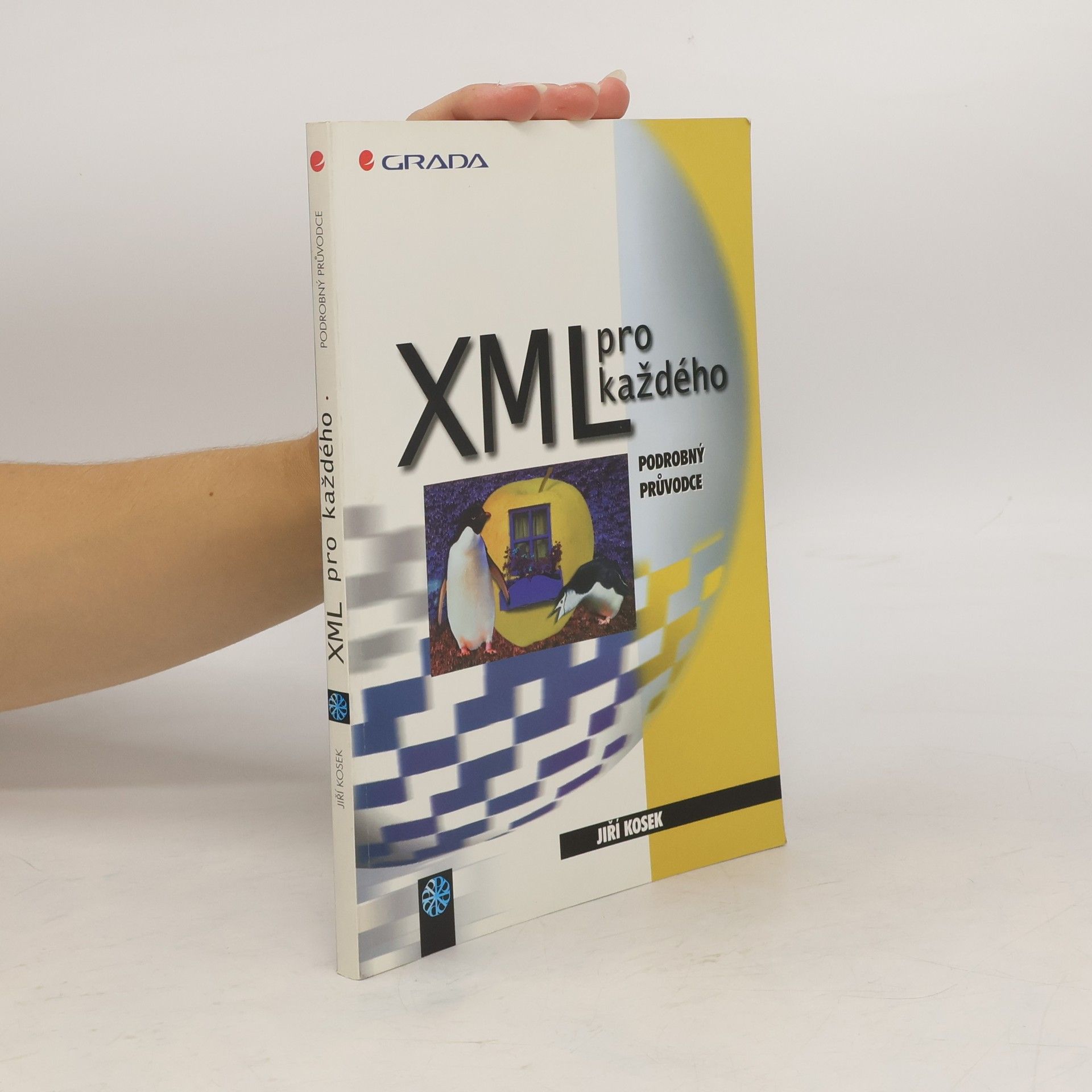 Jiří Košek XML pro každého: Podrobný průvodce