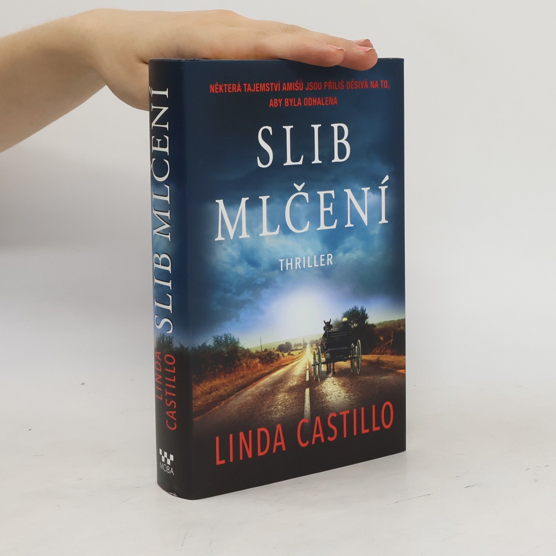 Linda Castillo Slib mlčení