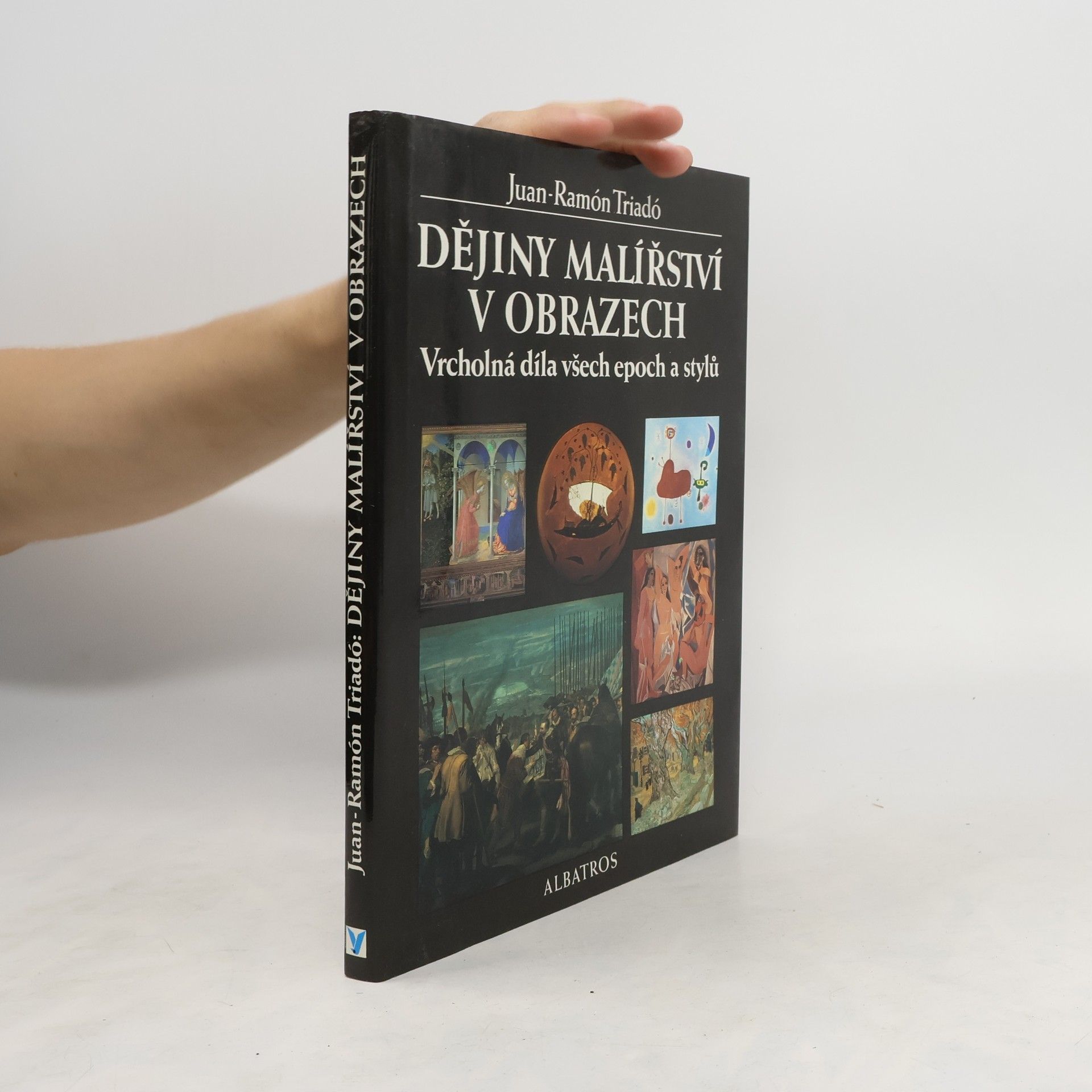 Dějiny malířství v obrazech : vrcholná díla všech epoch a stylů