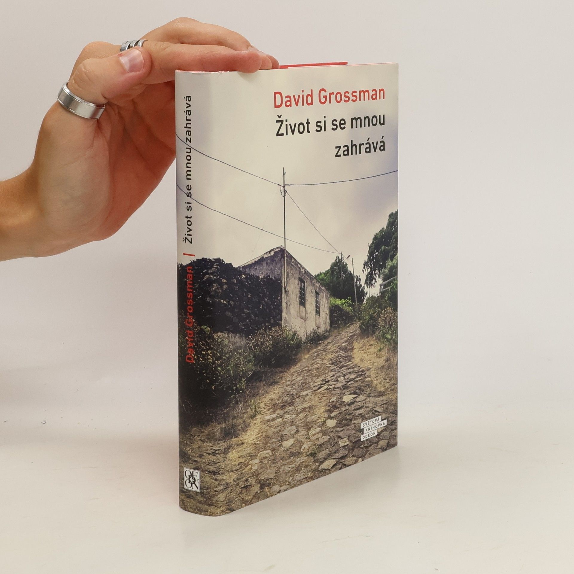 David Grossman Život si se mnou zahrává