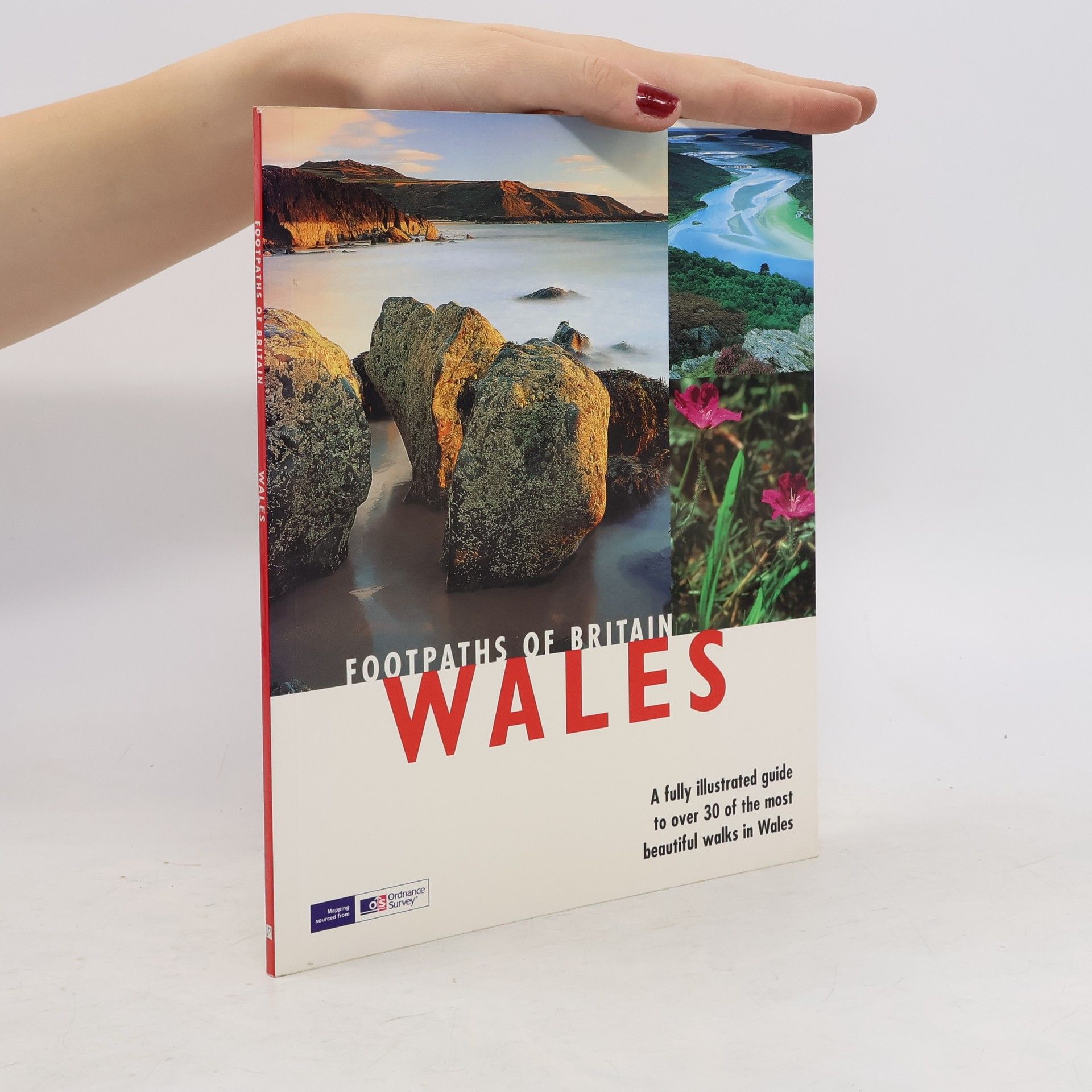 Collectif d'auteurs Wales