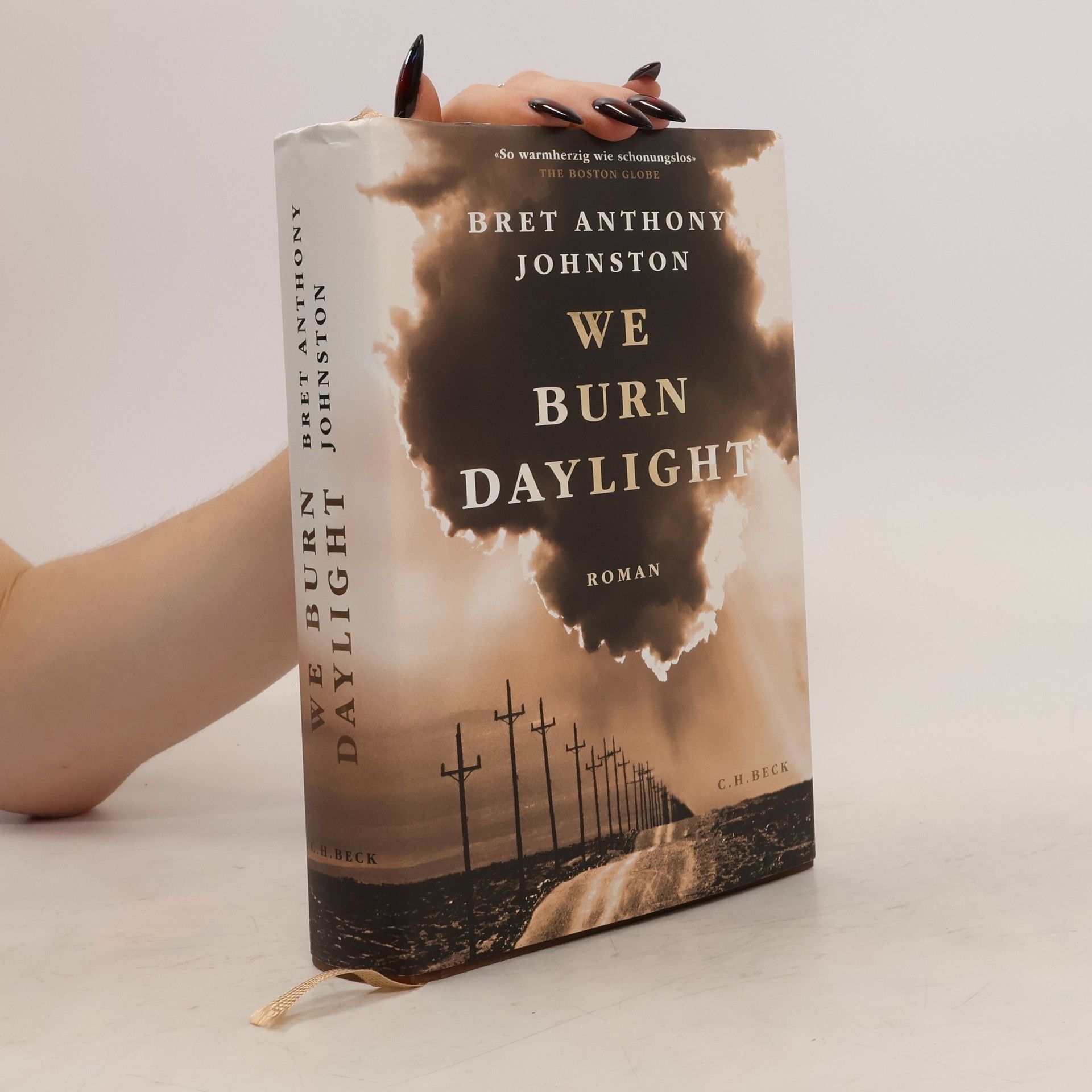 Bret Anthony Johnston We burn daylight