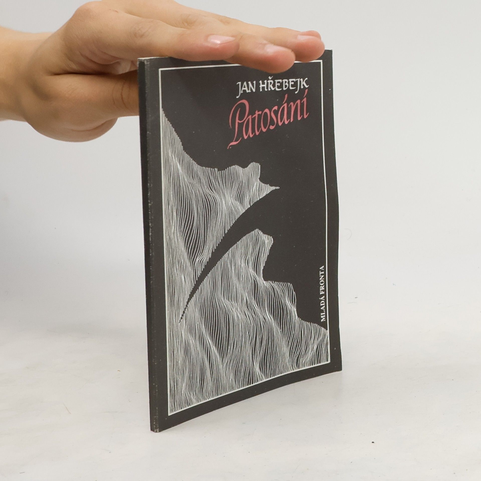 Jan Hřebejk Patosání