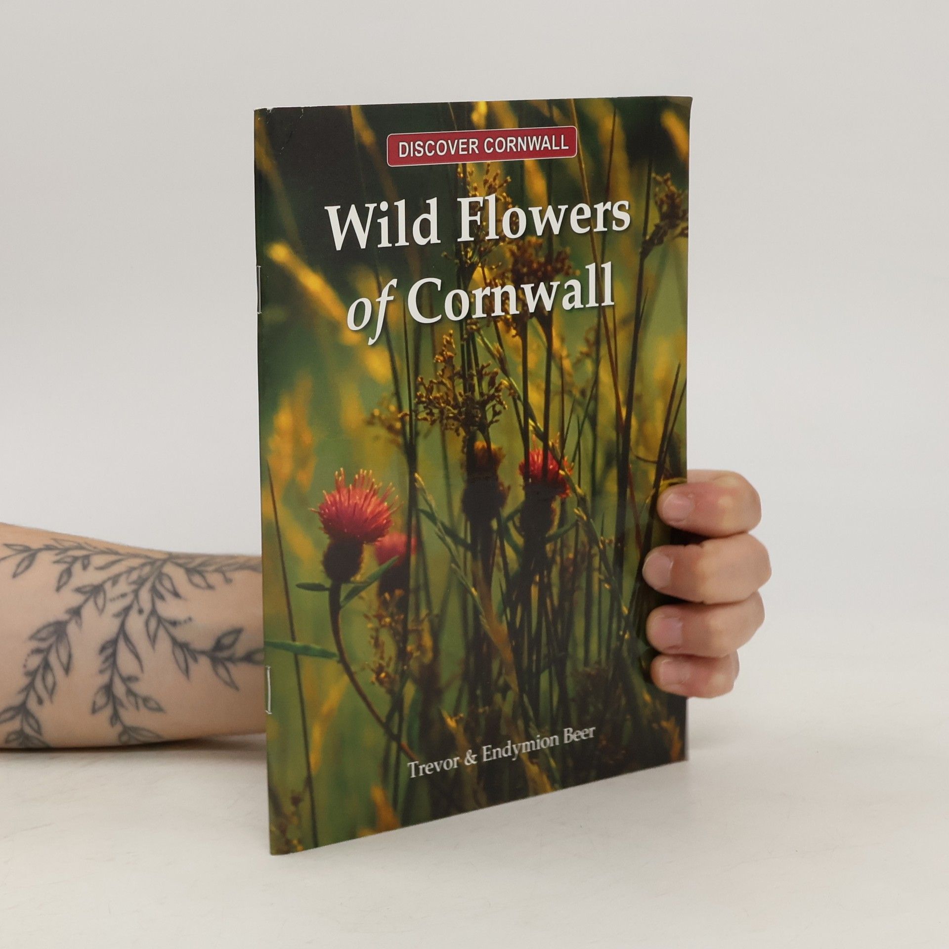 Trevor Beer Wild Flowers of Cornwall