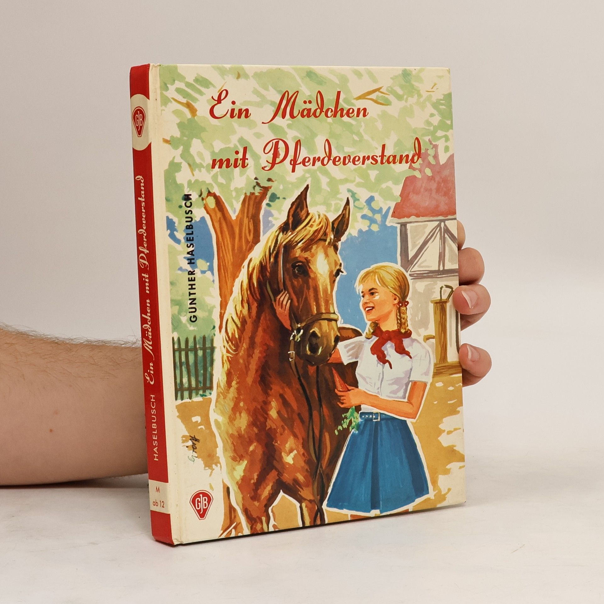 Gunther Haselbusch Ein Mädchen mit Pferdeverstand