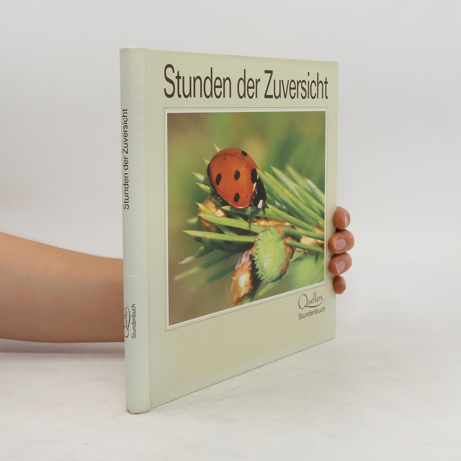 Eugen Hettinger Stunden der Zuversicht