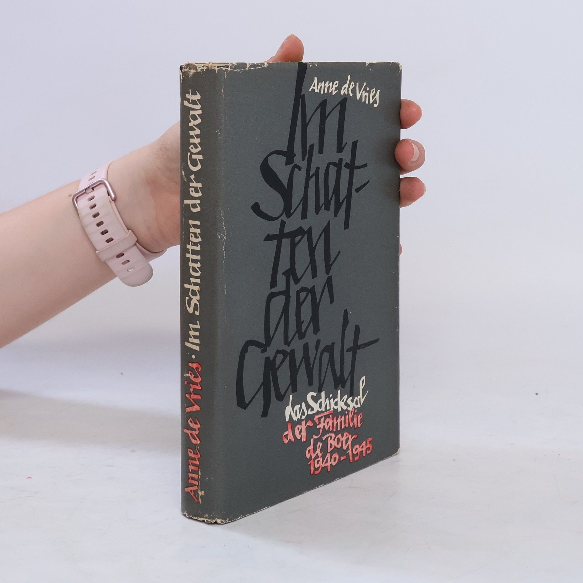 Anne de Vries Im Schatten der Gewalt