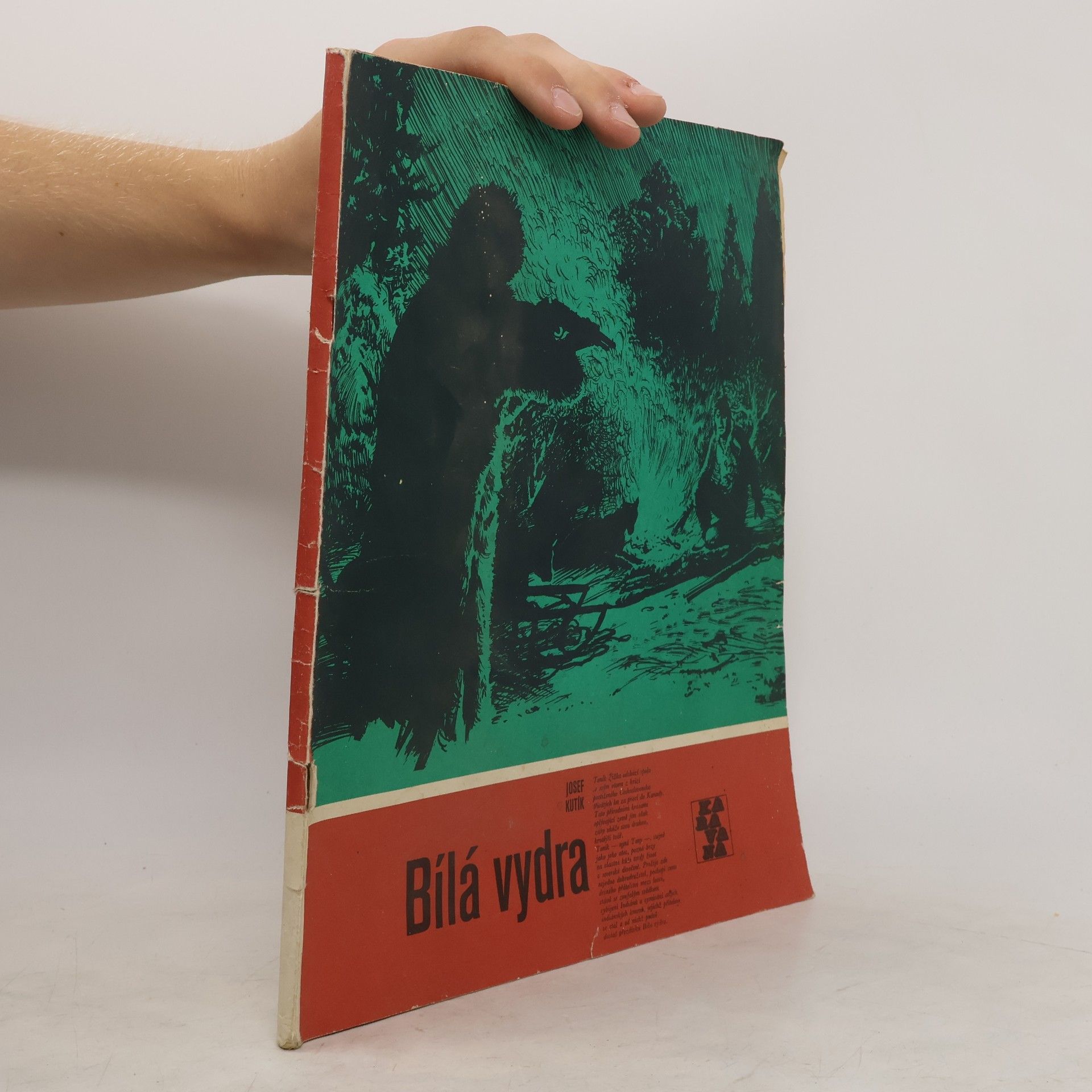 Josef Kutík Karavana 135. Bílá vydra