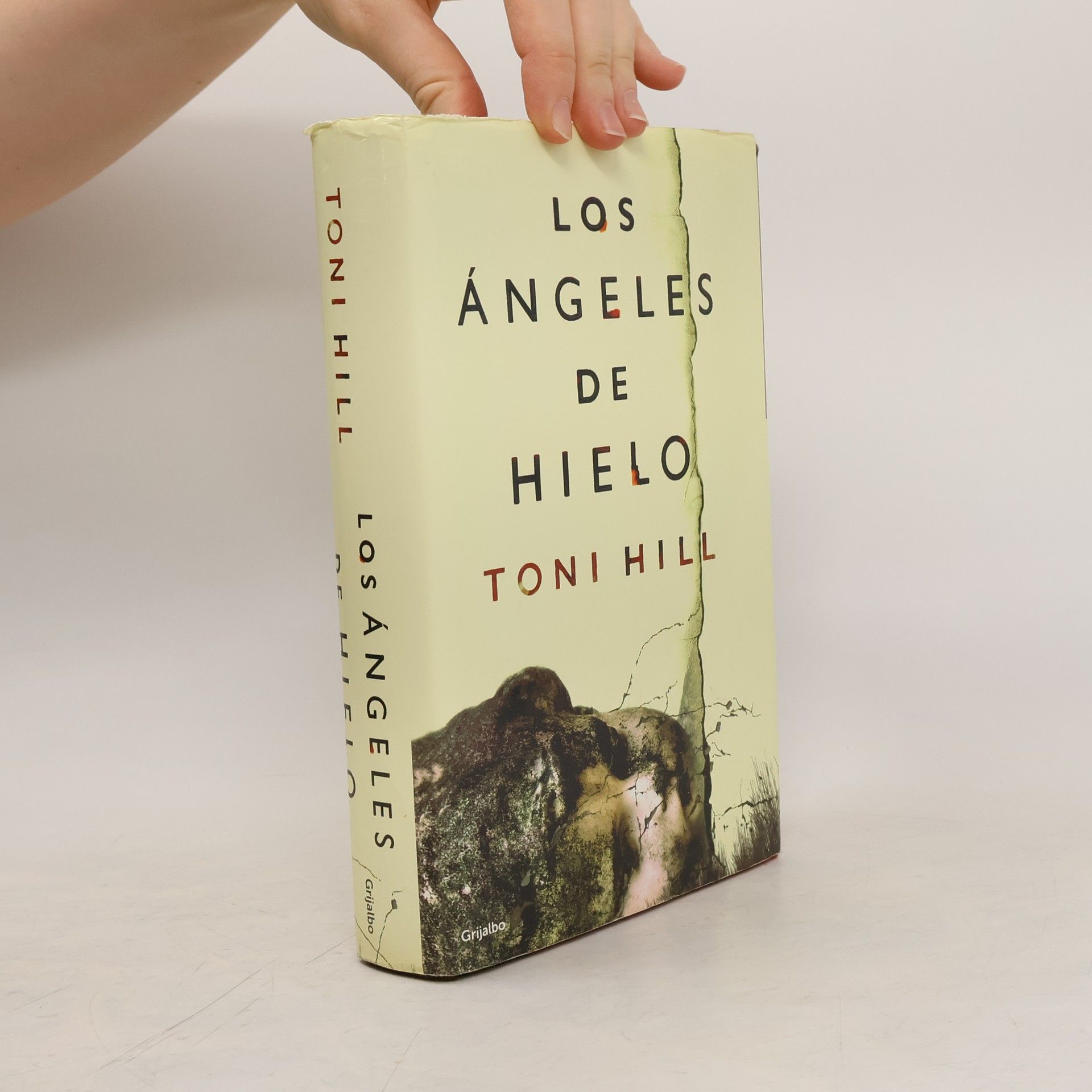 Toni Hill Los ángeles de hielo