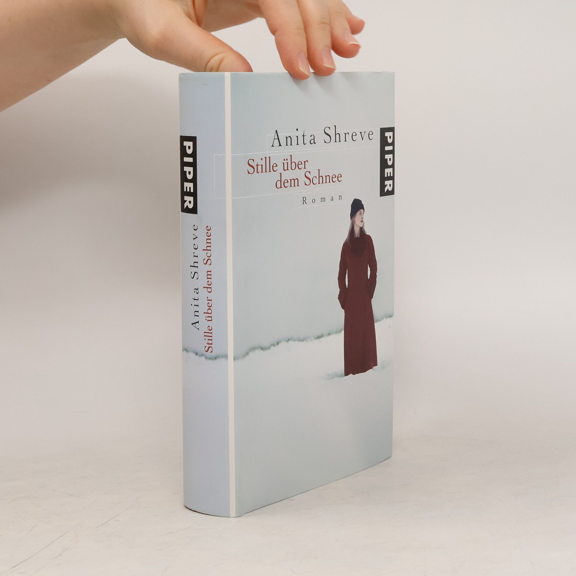 Anita Shreve Stille über dem Schnee