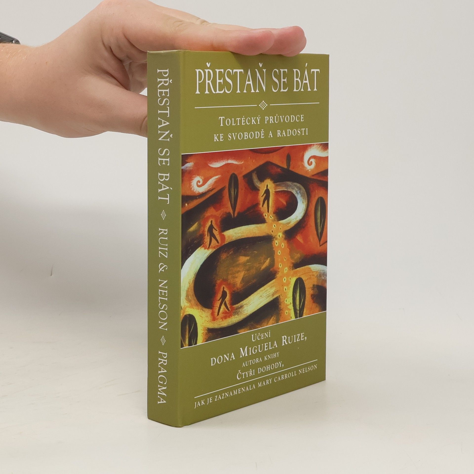Mary Carroll Nelson Přestaň se bát