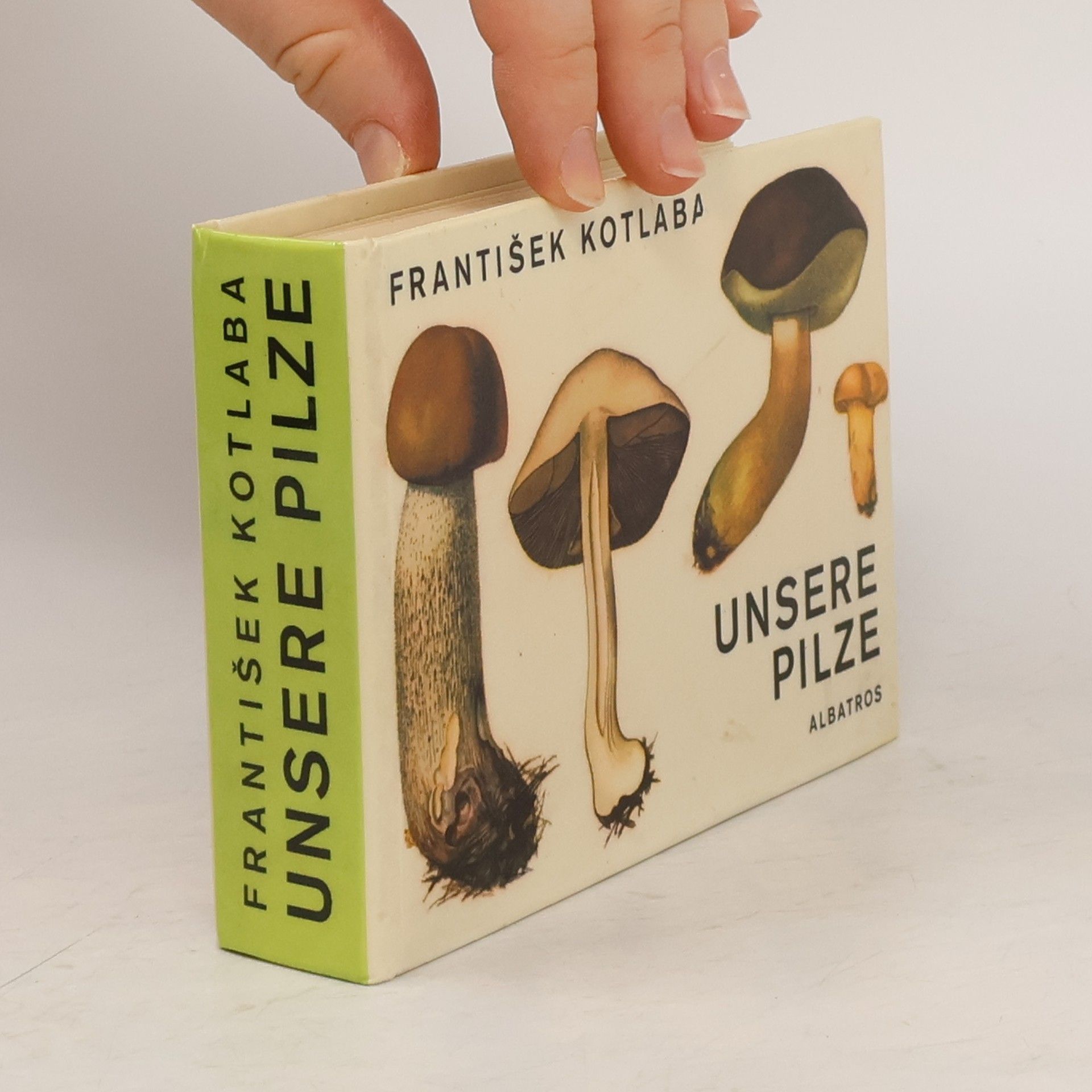 František Kotlaba Unsere Pilze