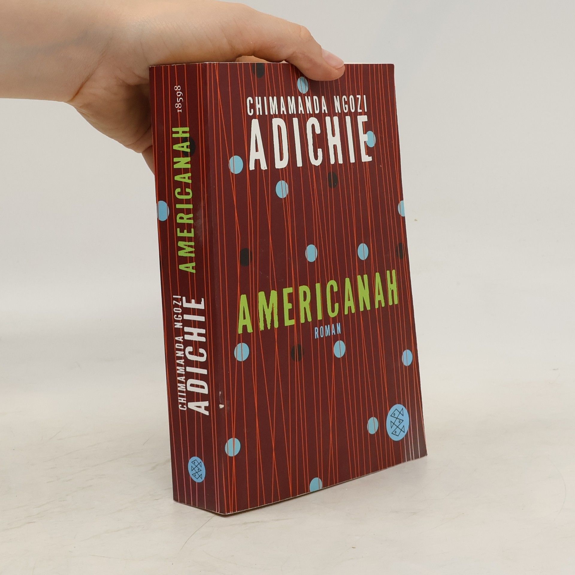 Chimamanda Ngozi Adichie Americanah