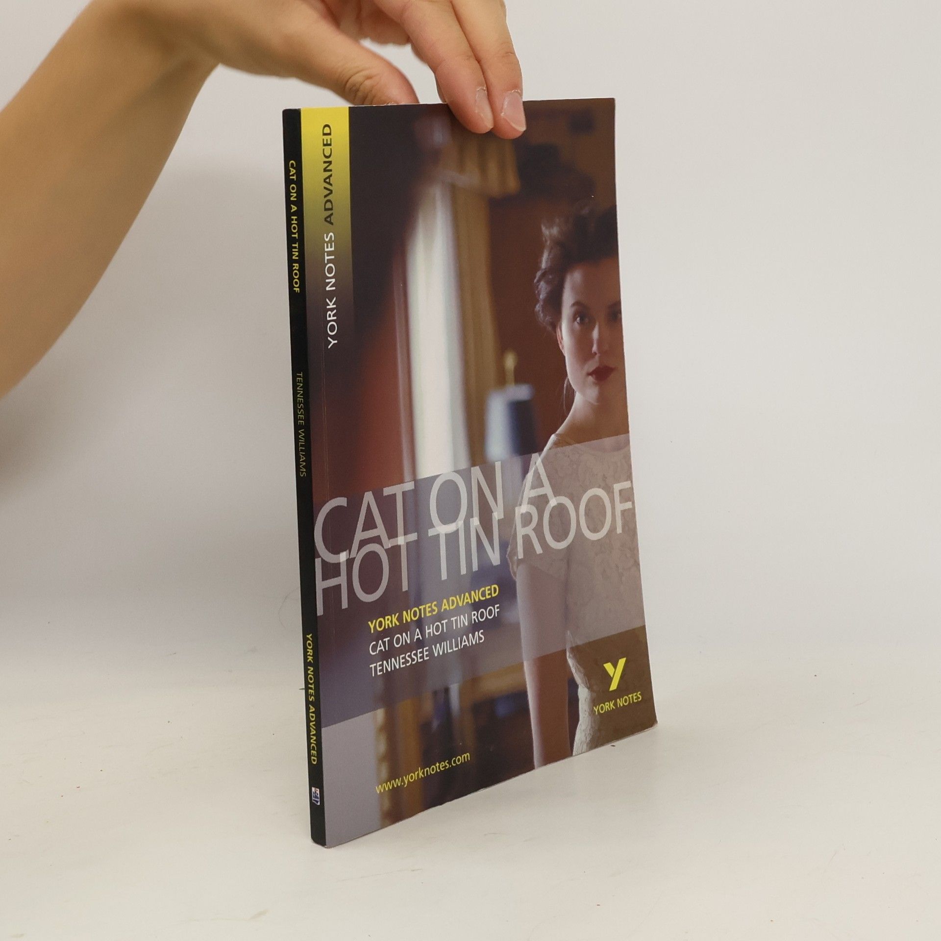 Tennessee Williams Cat on a Hot Tin Roof: York Notes Advanced