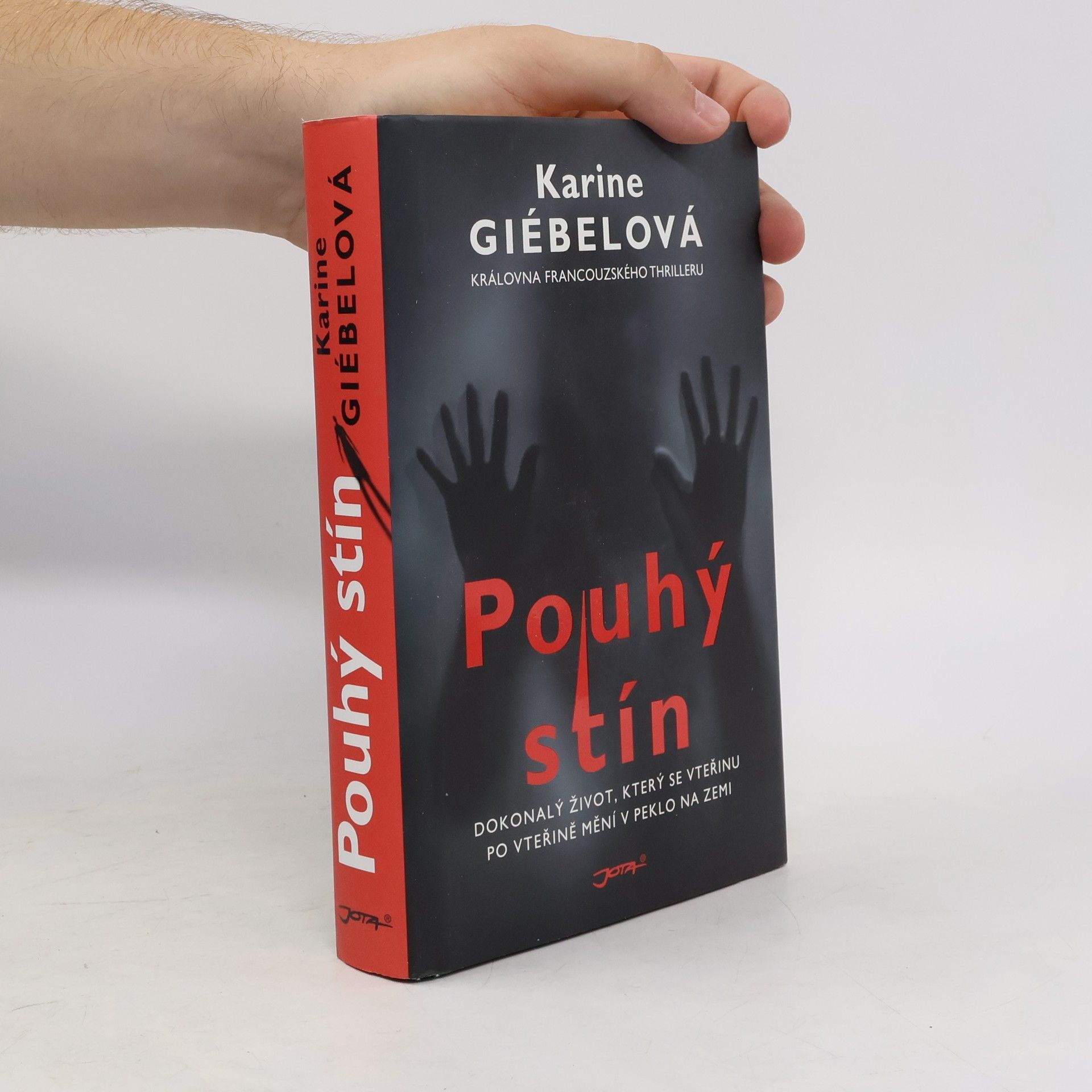 Karine Giebel Pouhý stín