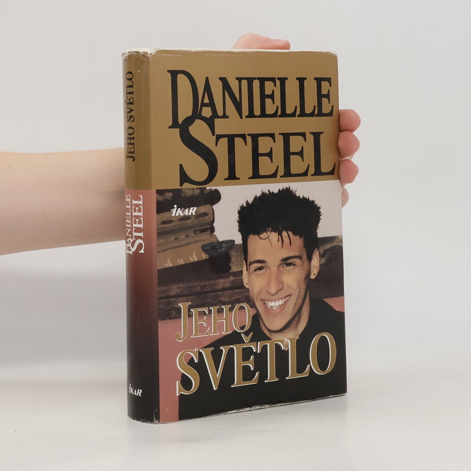 Danielle Steel Jeho světlo