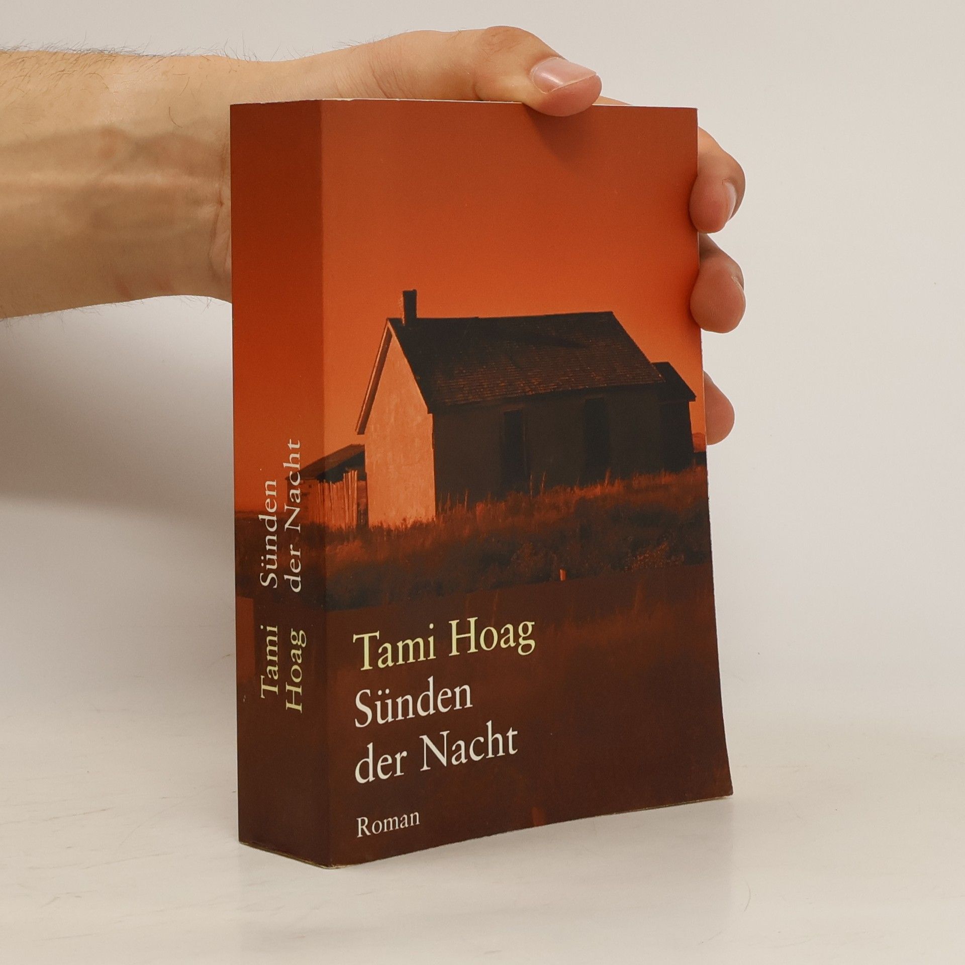 Tami Hoag Sünden der Nacht