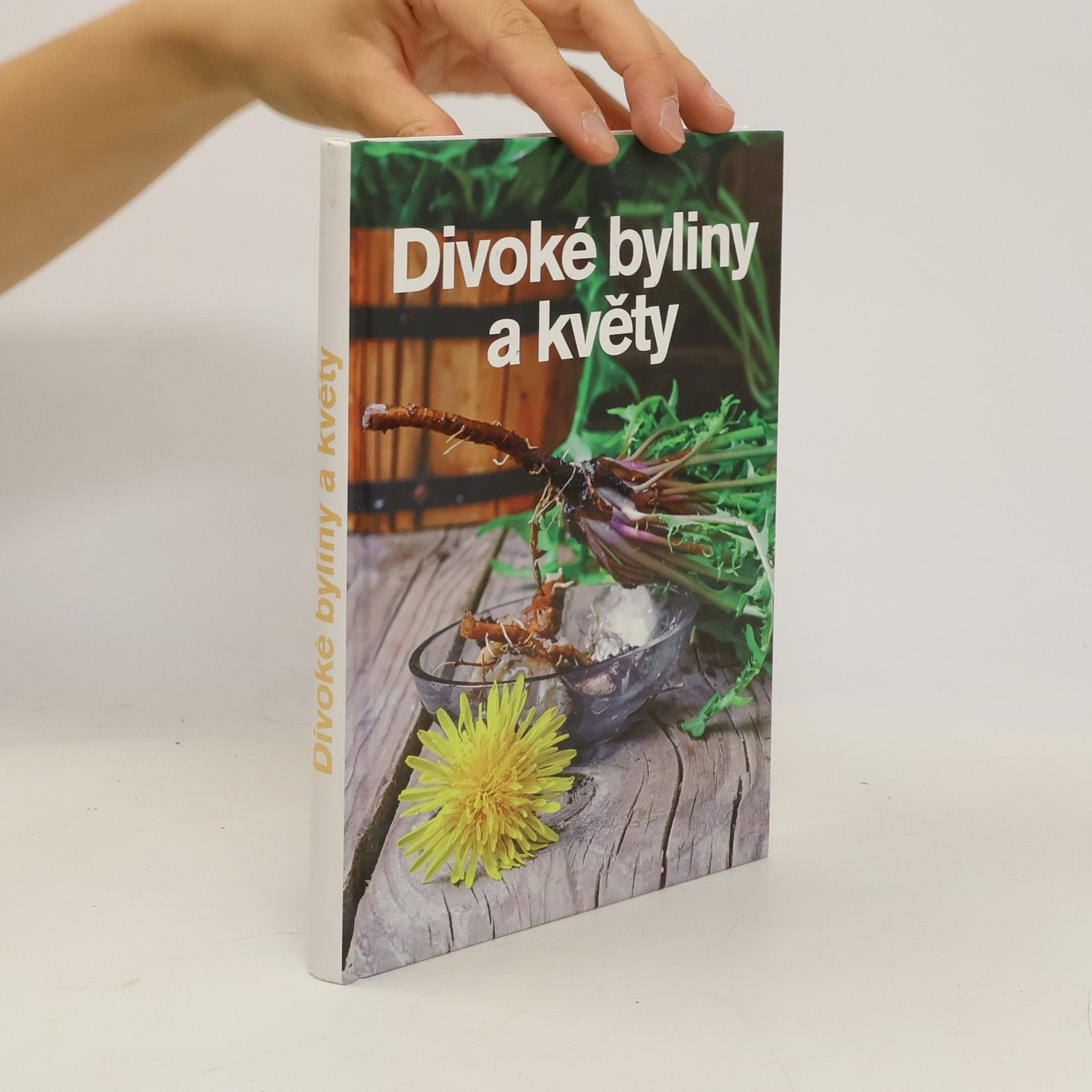 Andrea Malá Divoké byliny a květy
