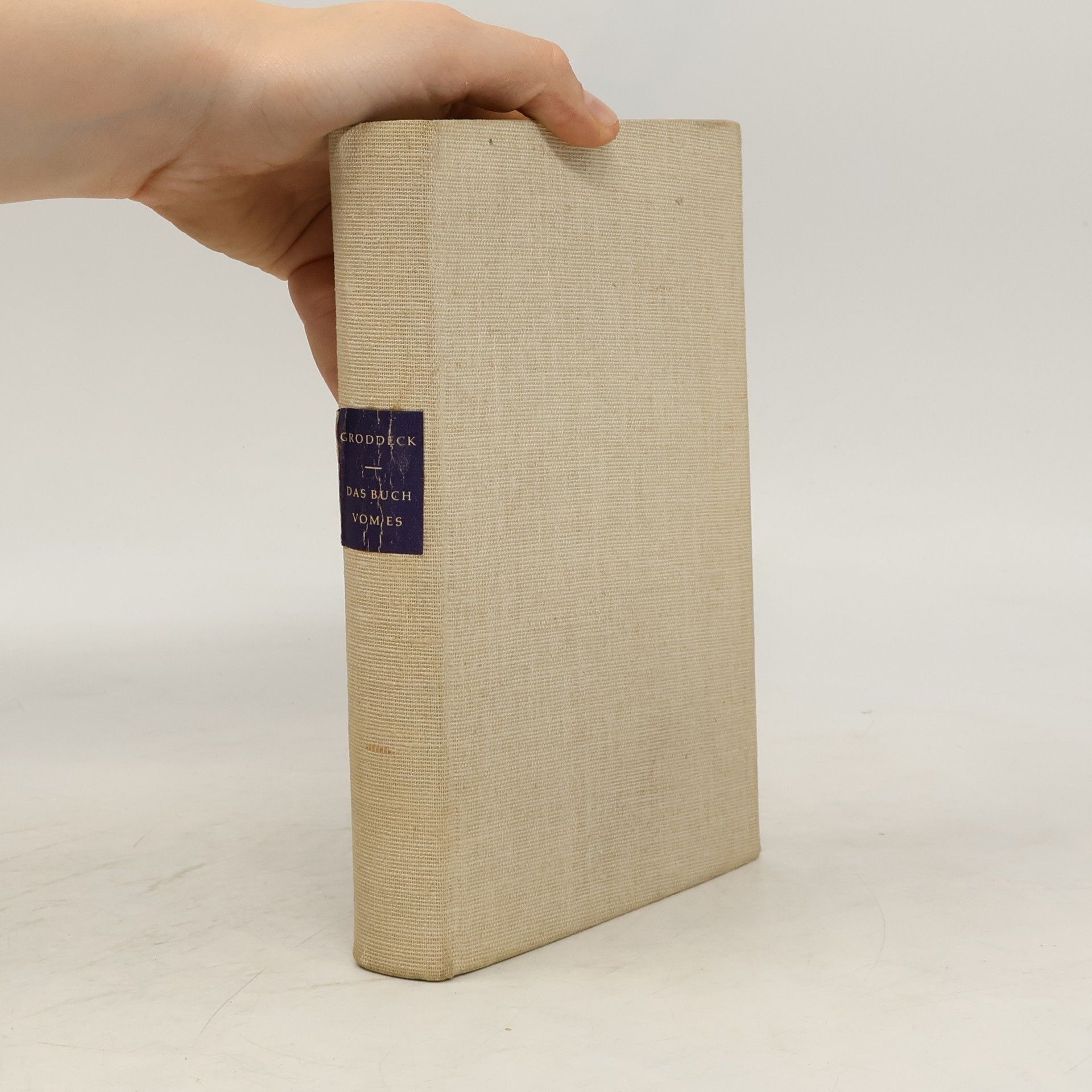 Georg Groddeck Das Buch vom Es