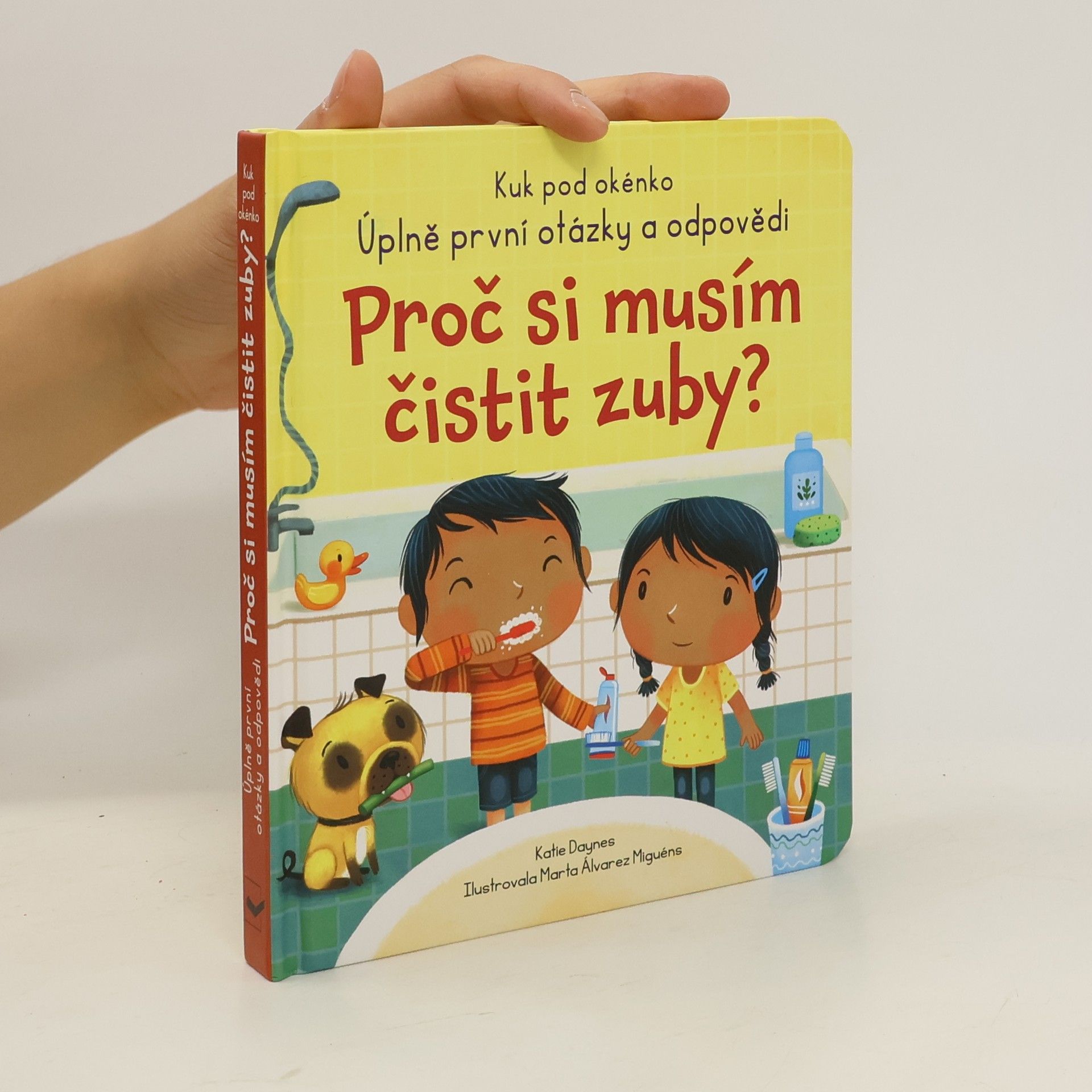 Katie Daynes Proč si musím čistit zuby?