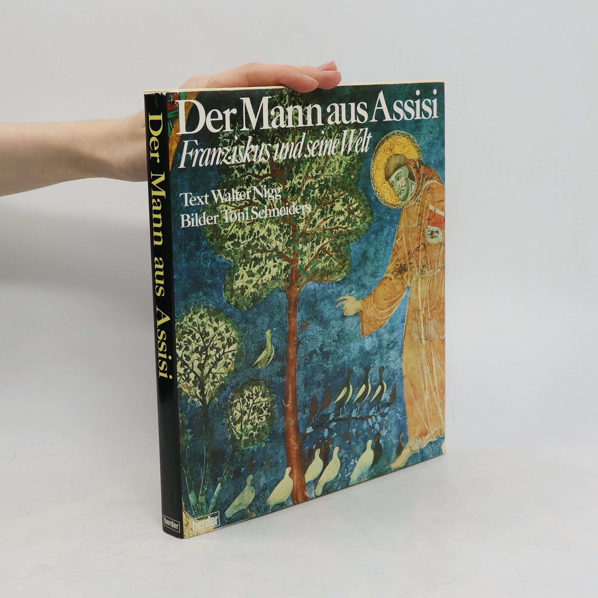 AA.VV. Der Mann aus Assisi : Franziskus u. seine Welt