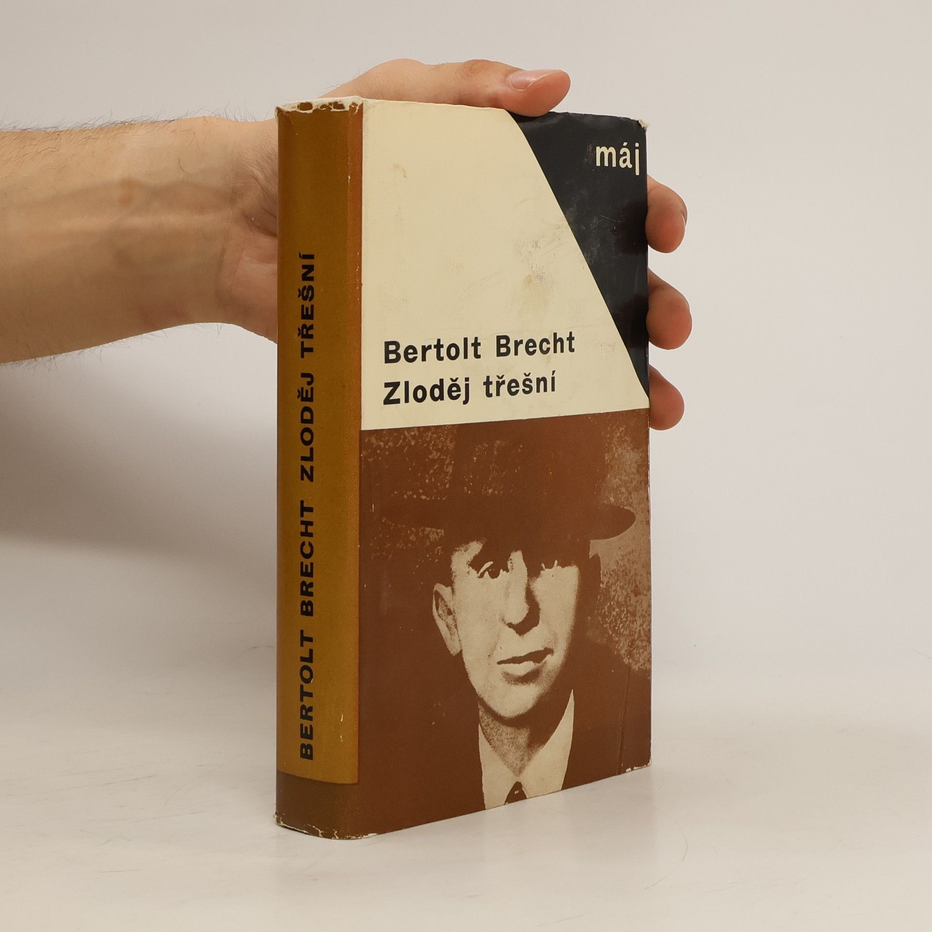 Bertolt Brecht Zloděj třešní
